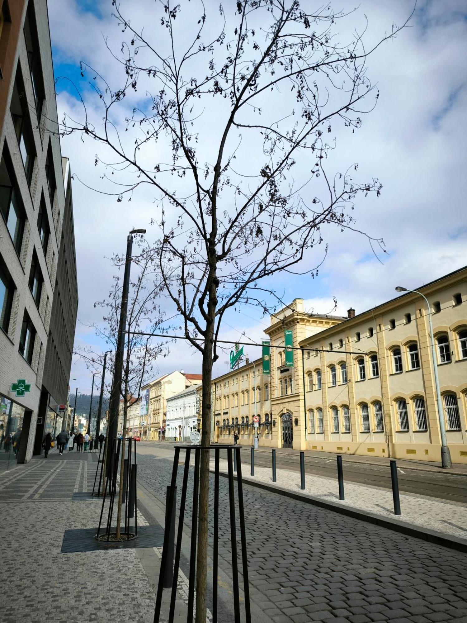 Valentinka Minutes Away From Charles Bridge Apartment Prague