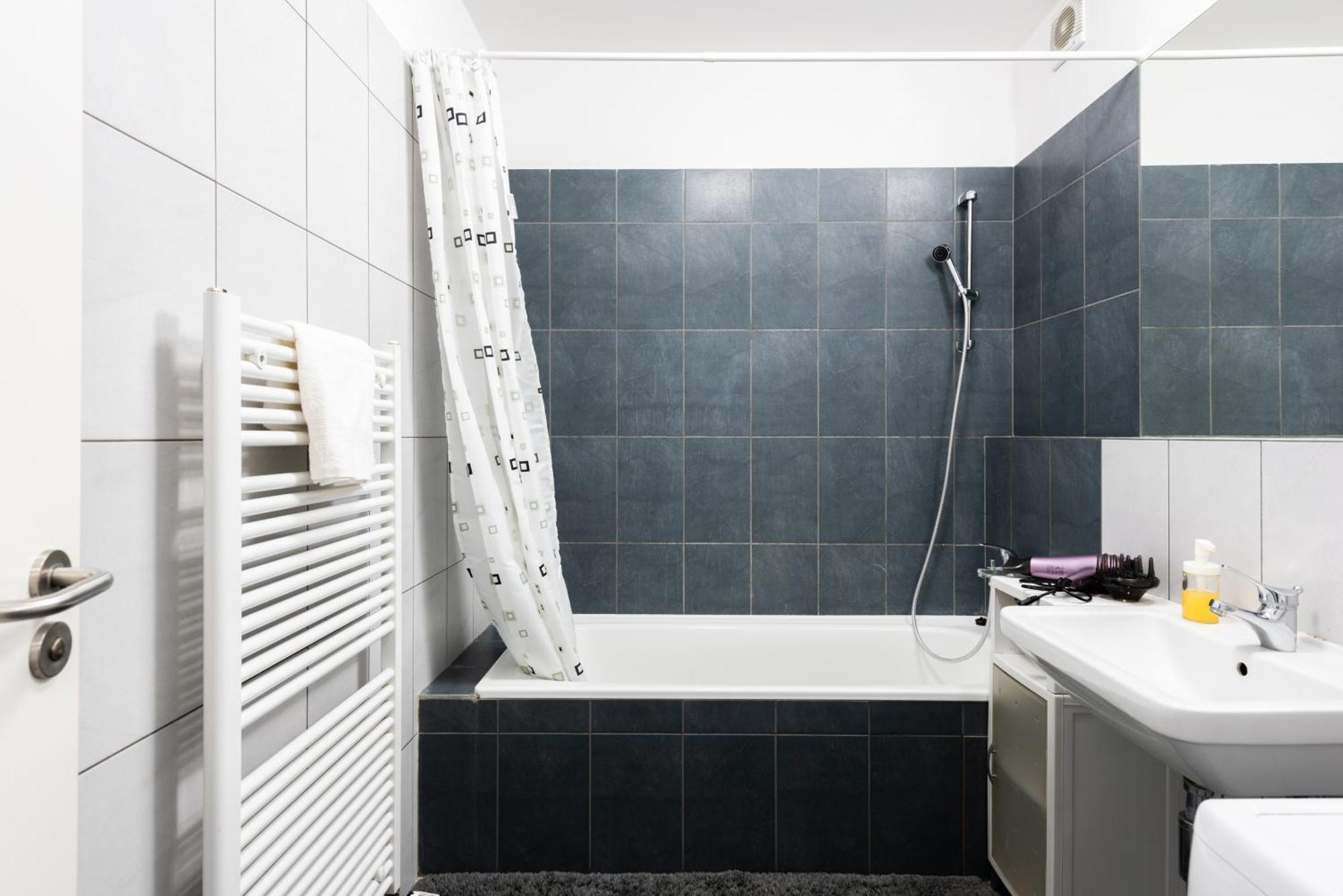 Spacious Near Karlin Square Prague