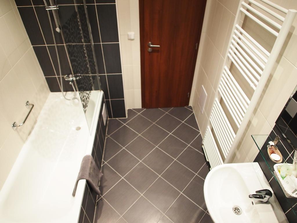 Andel Tomaskova Apartment *