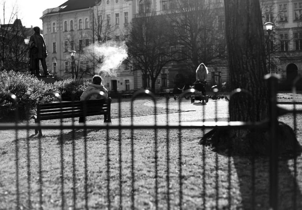 Vltava * Prague