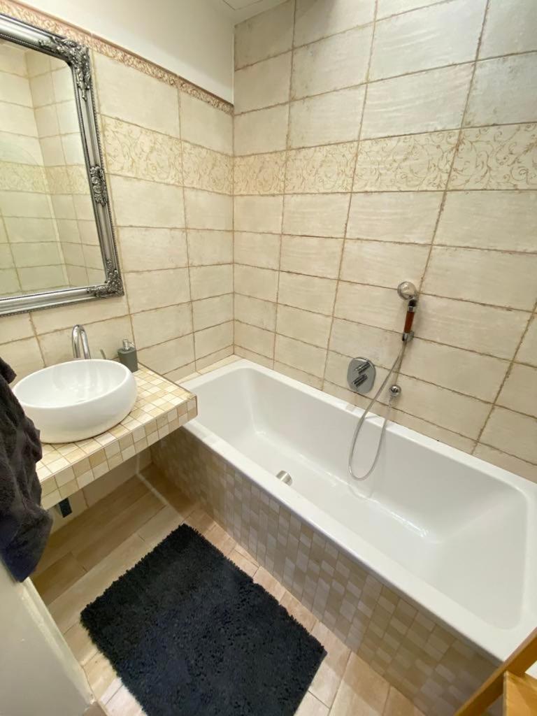 Apartment Zizkov Vol.2