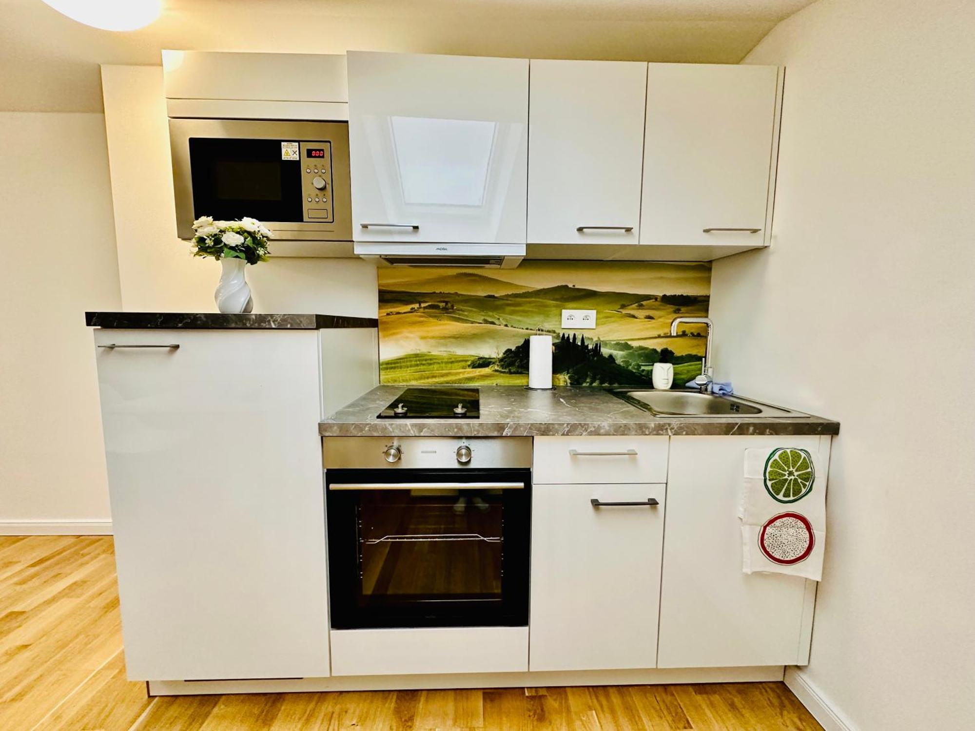 Apartment Wenceslas' Shi *