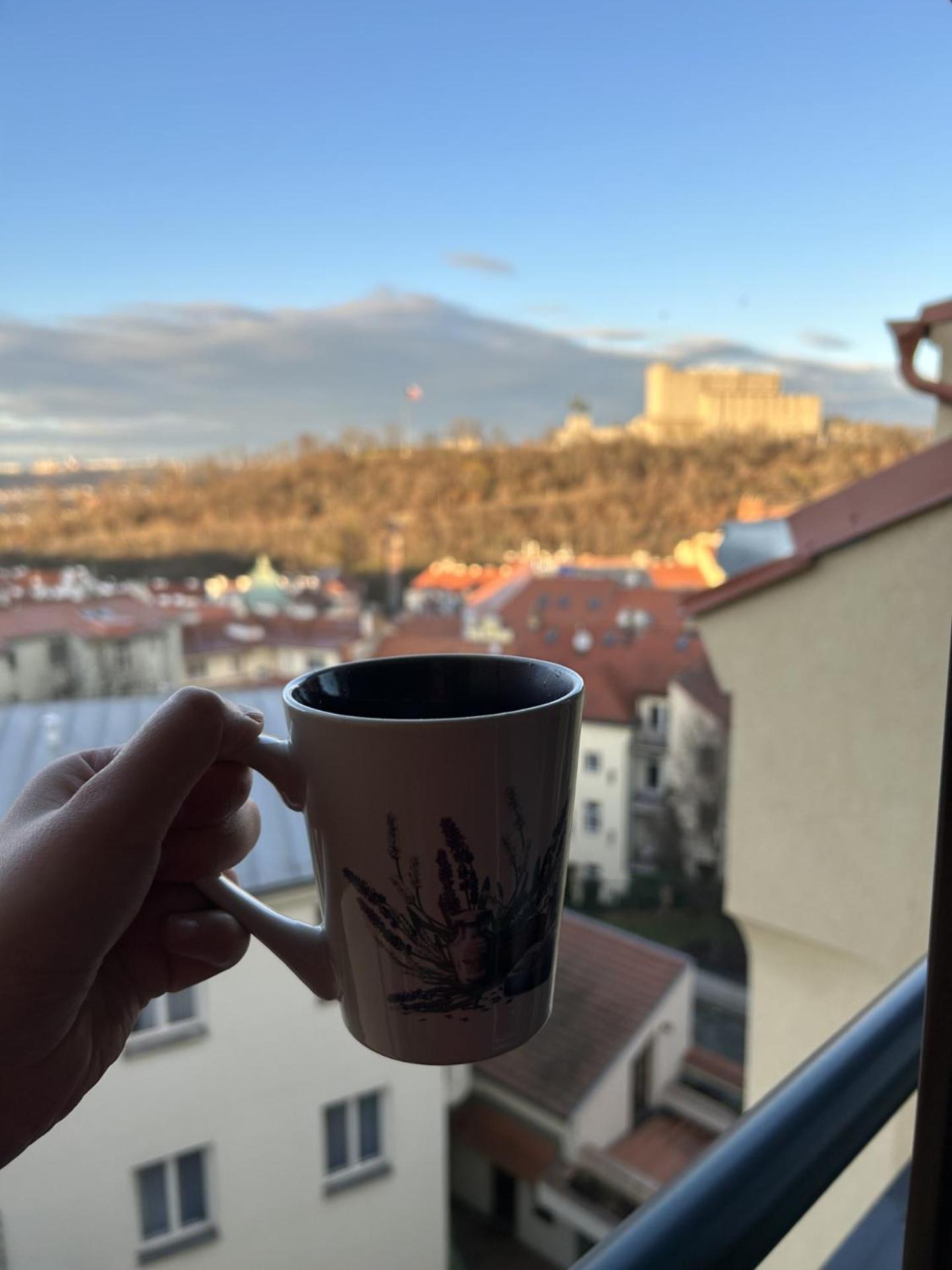 Apartment Cimburkova *