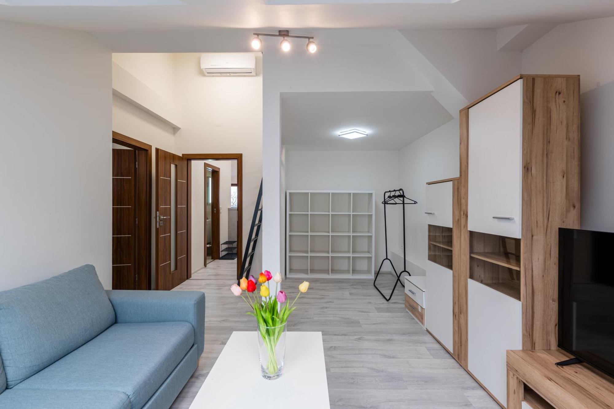 Apartment Cimburkova