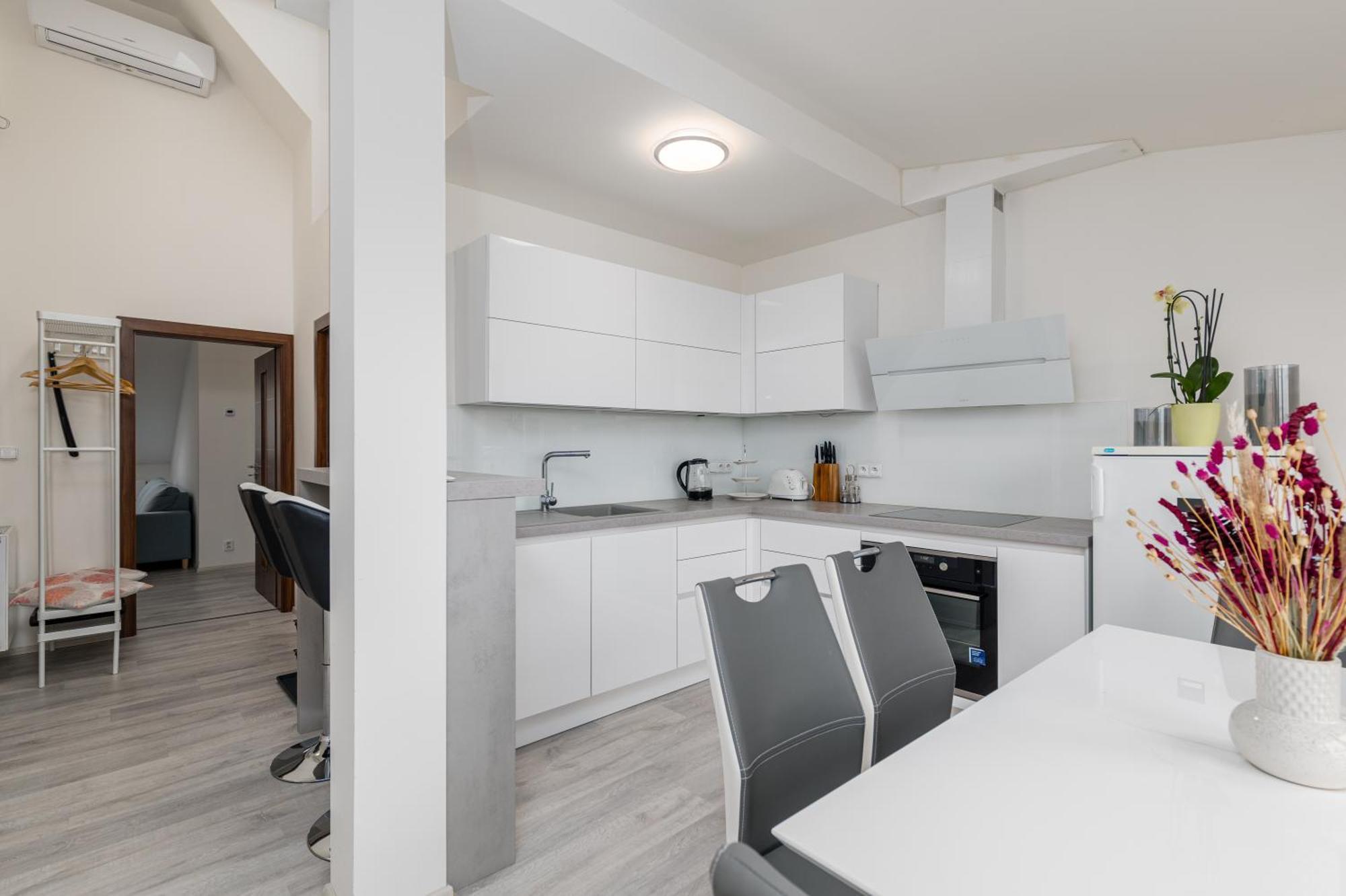 Cimburkova Apartment