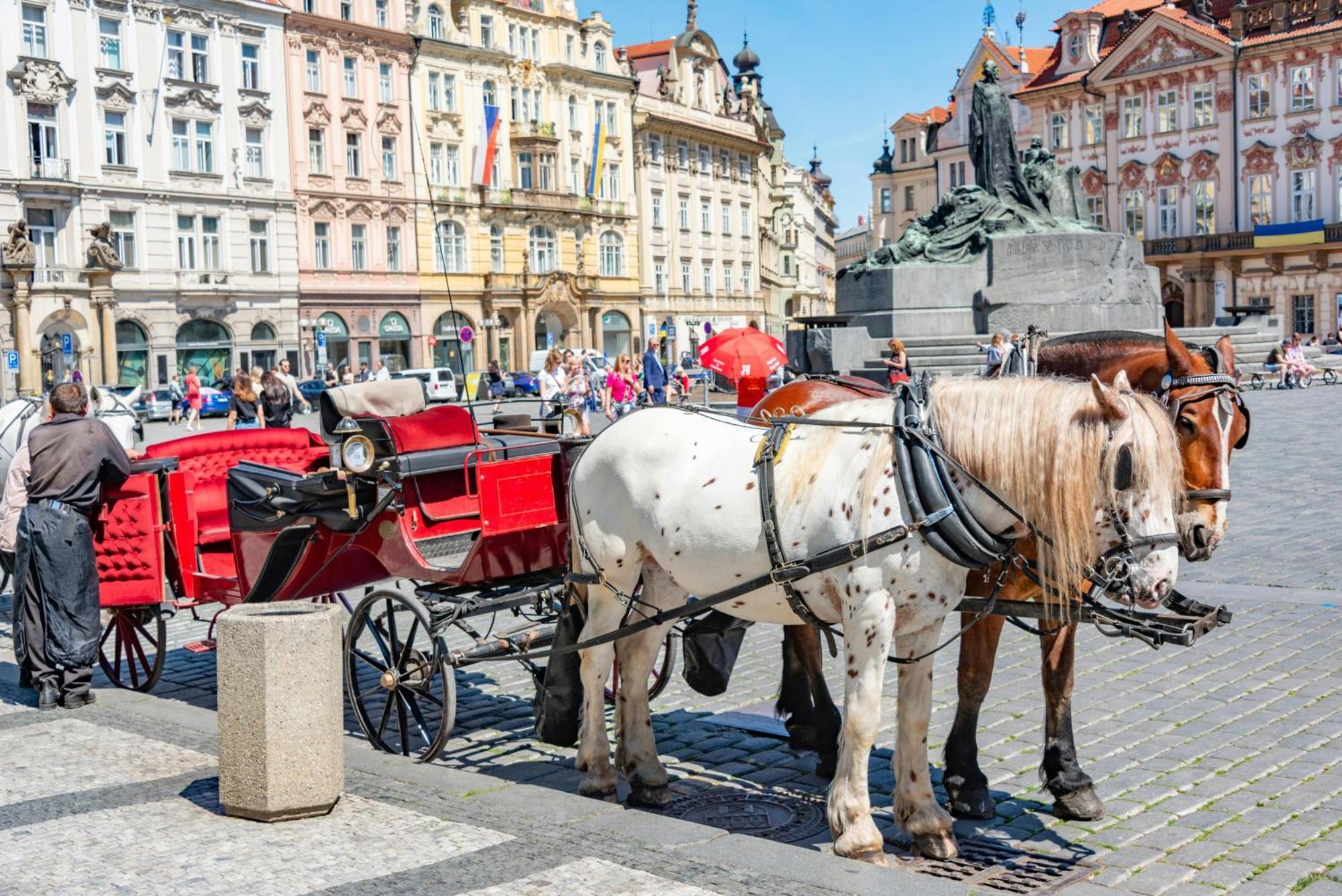 Helen Homestay Vysehrad Daire Prag