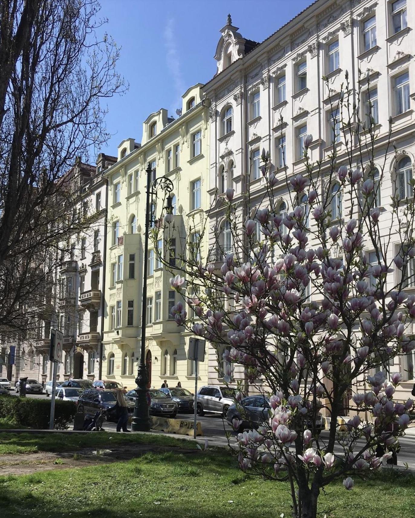 Apartment River Site Janackovo Nabrezi 27 *
