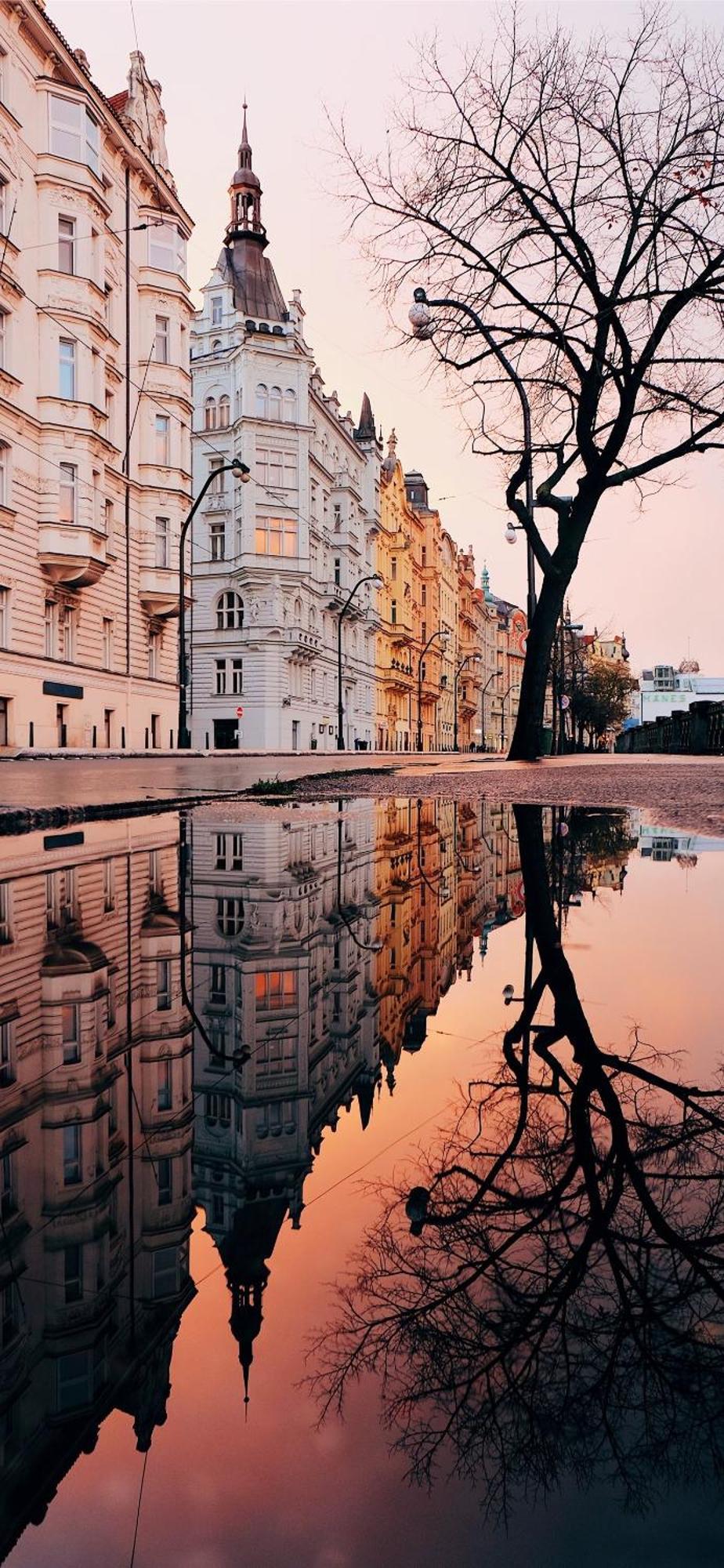 Apartment Center Of 369 Prag