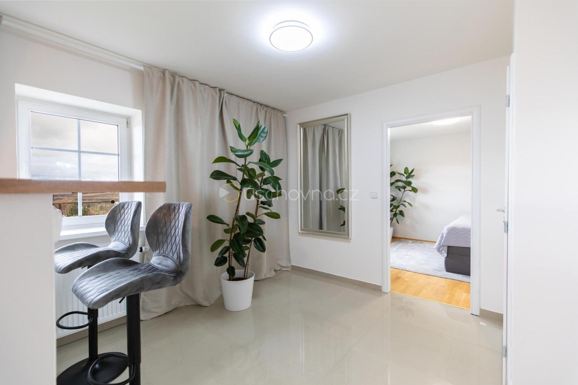 Appartement Airport Luxury & *