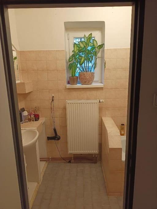 Homestay Lovely And Free Parking Prague