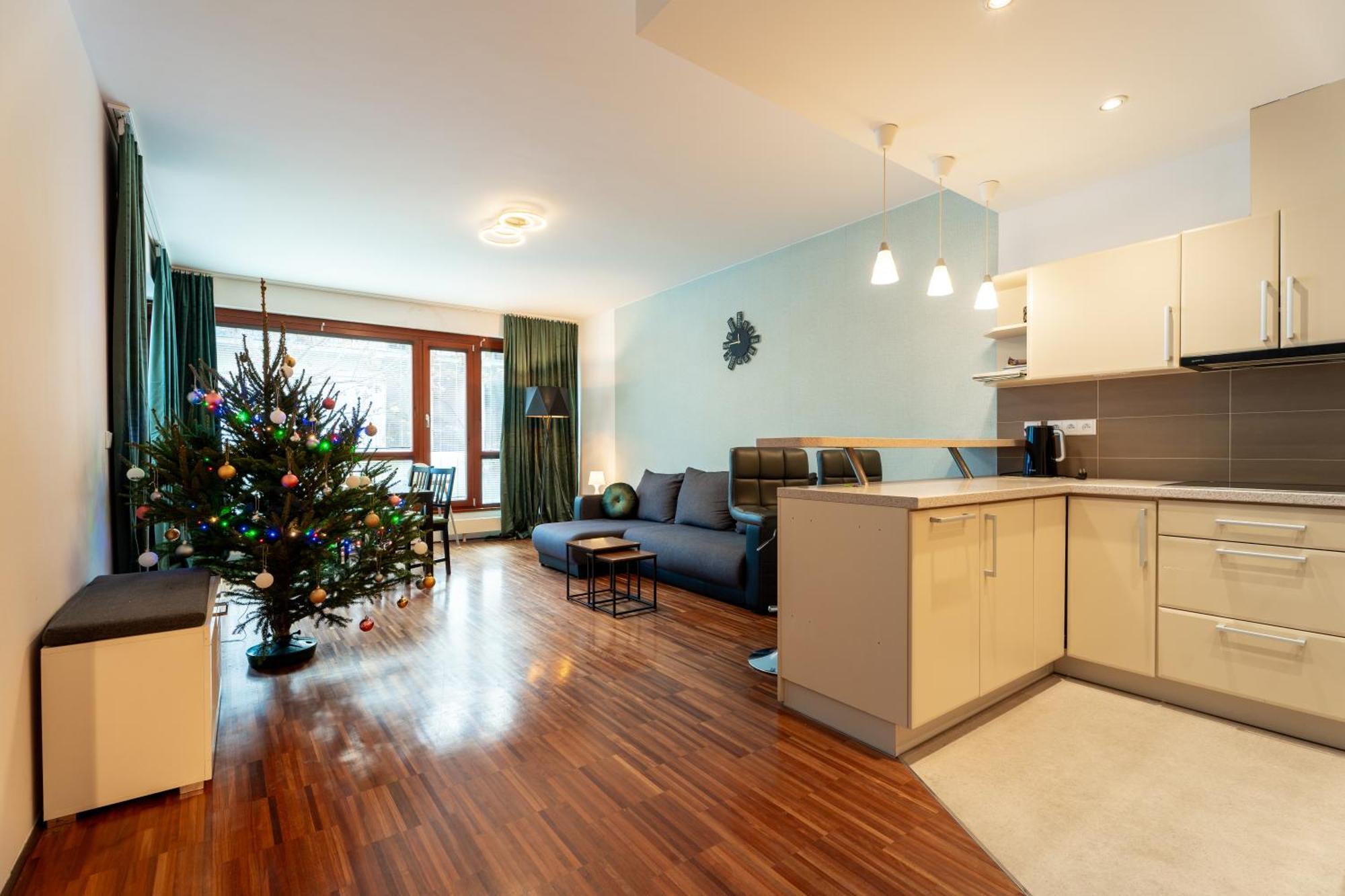 Auriapartments Karlin 2kk S Terasou A Parkovanim Daire Prag