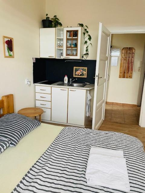 Apartment Lucian Prague