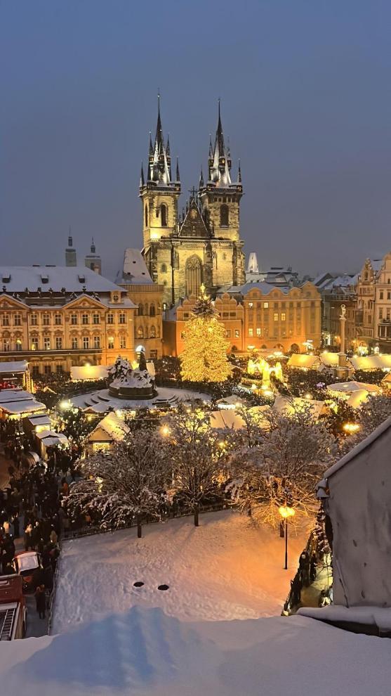 Apartment U Zeleneho Jalovce Prague