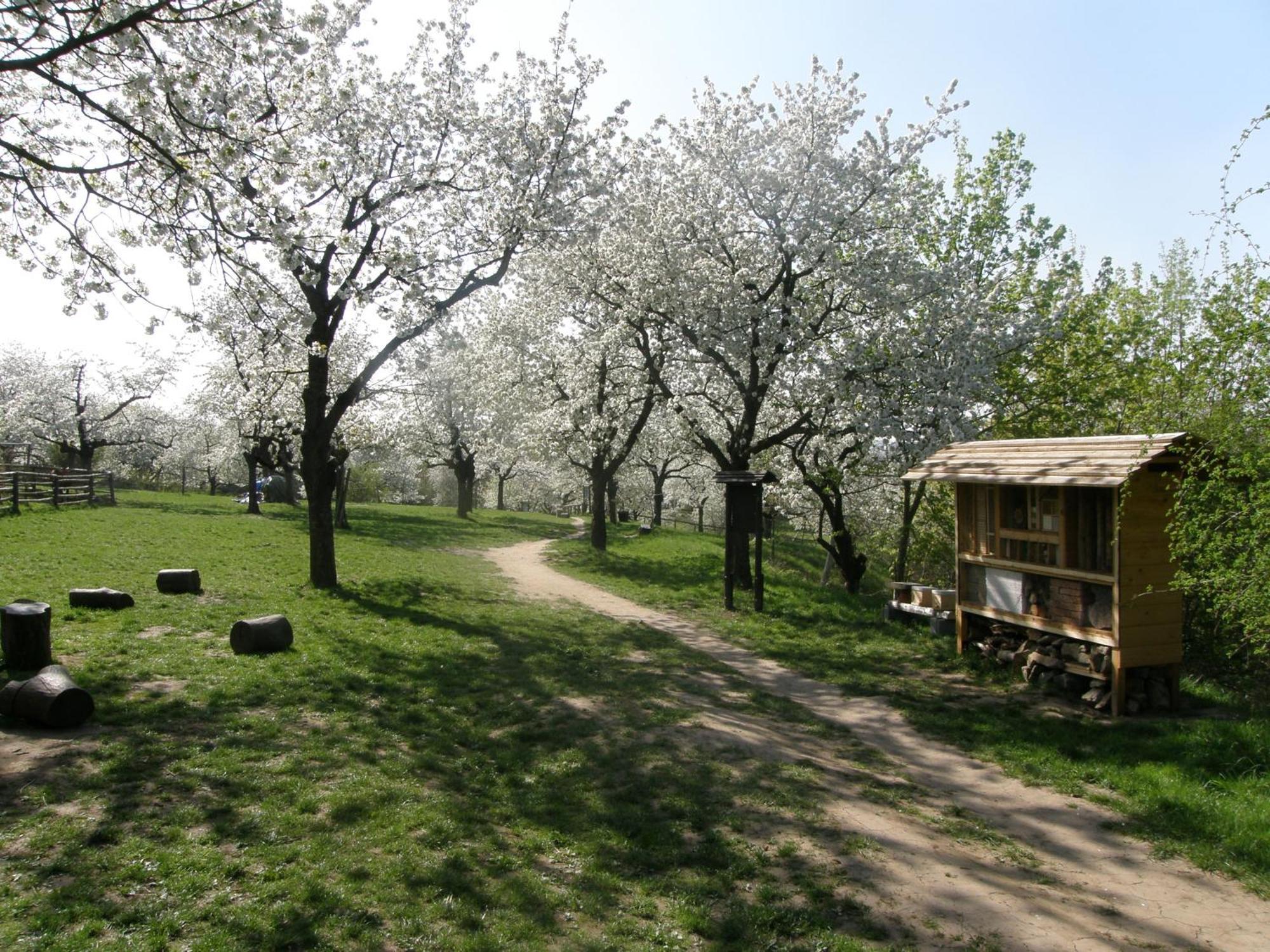 Hostel Toulcuv Dvur