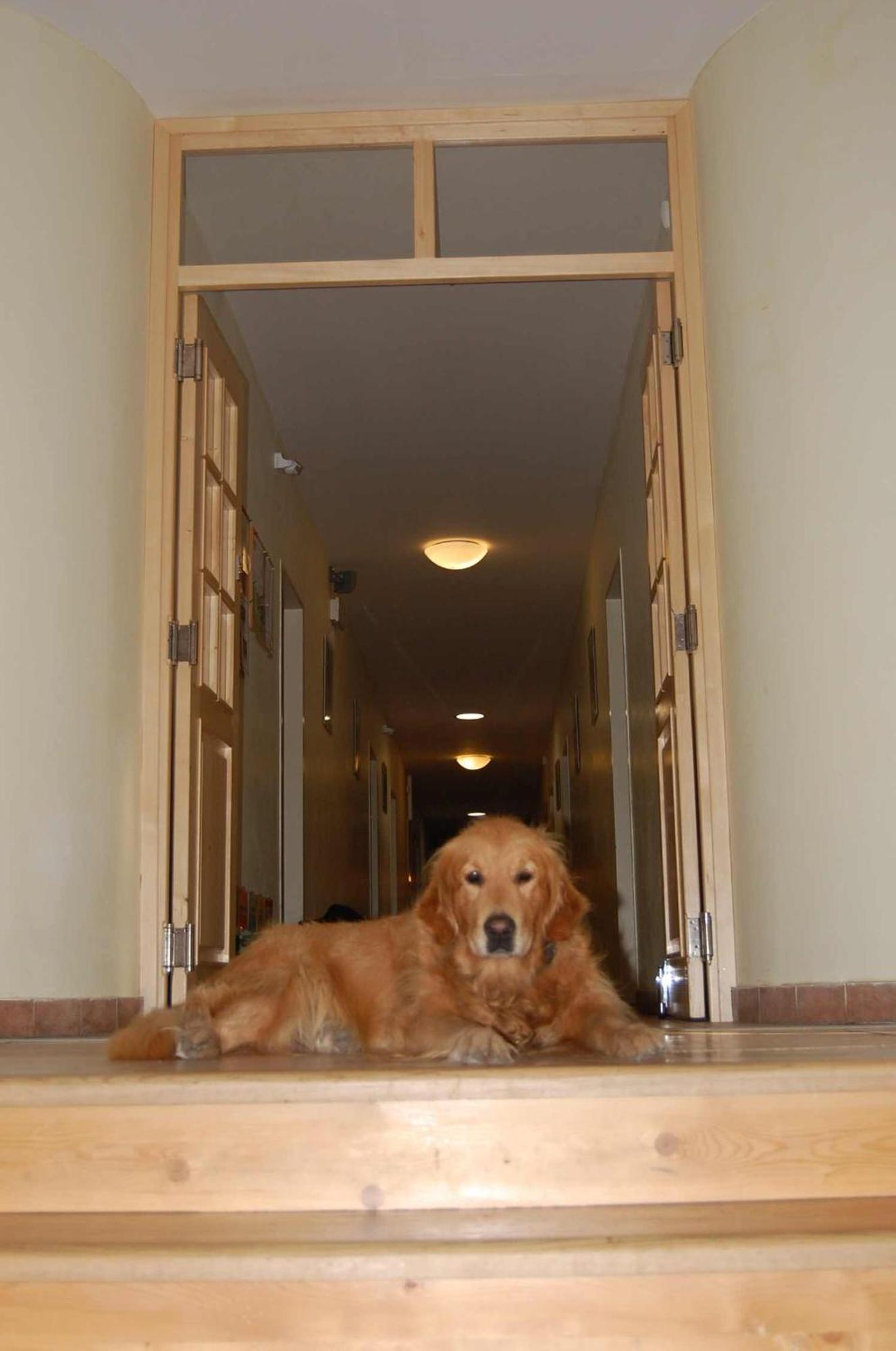 Hostel Toulcuv Dvur Prague