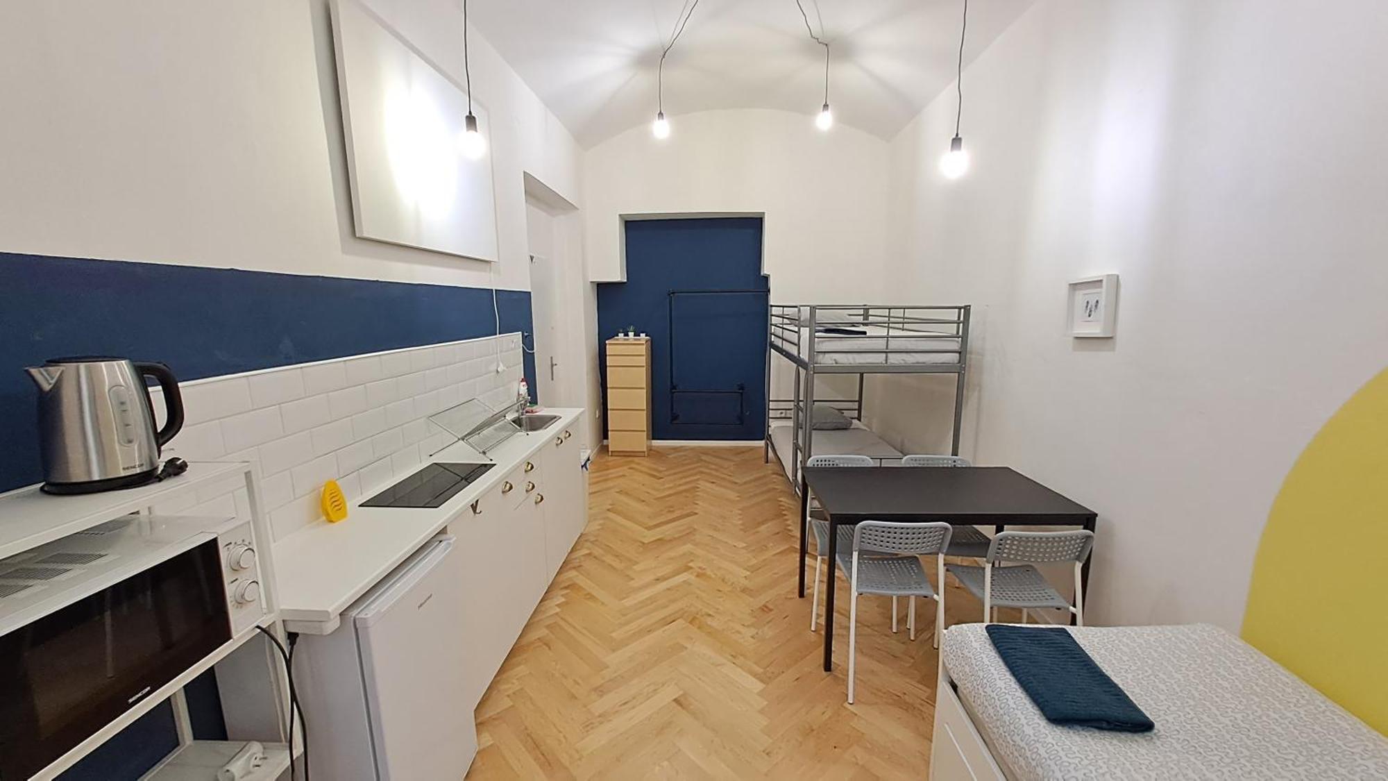 Spacious, Light In Vinohrady Apartment