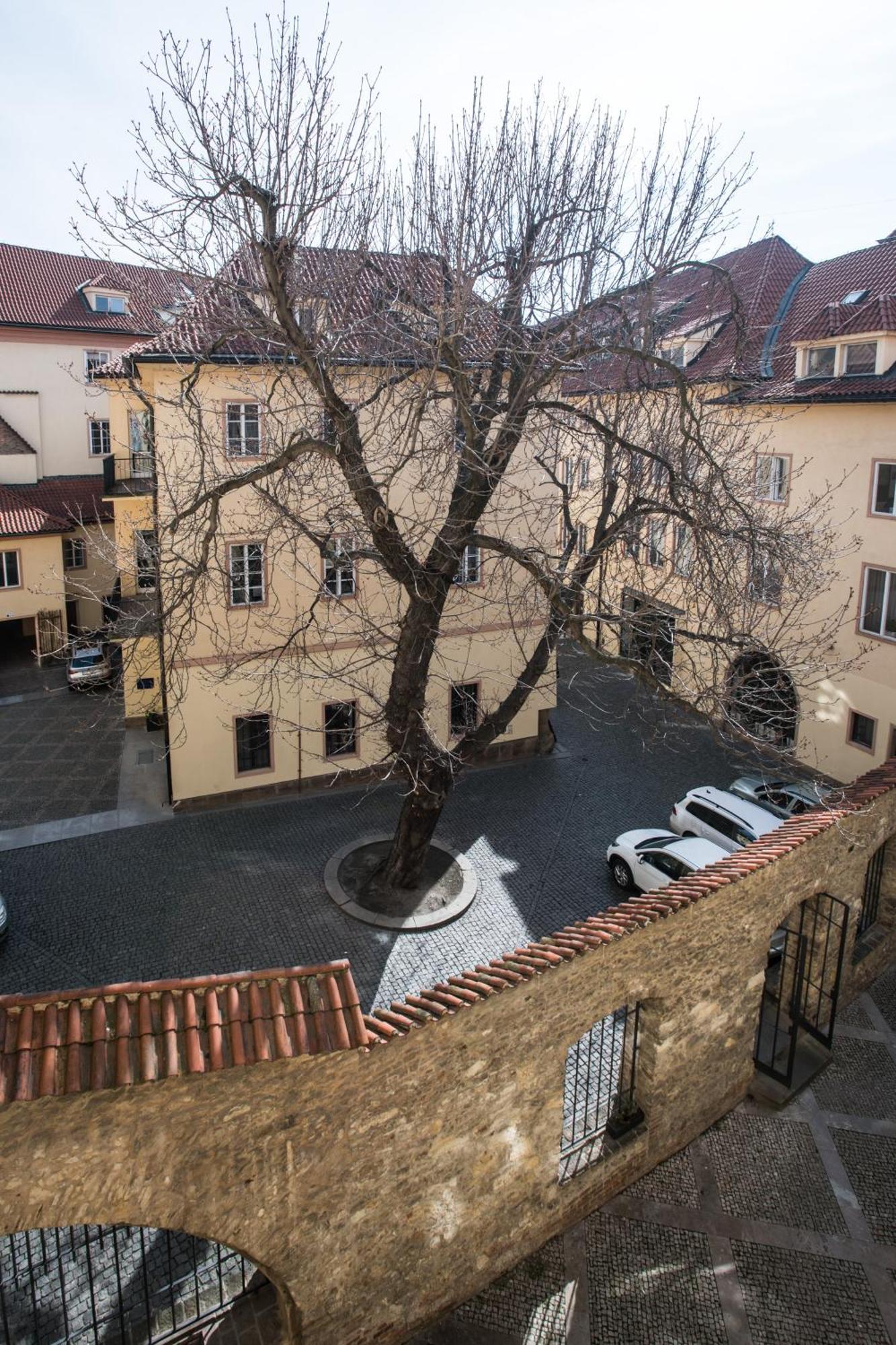 Opitzuv Dum Otel