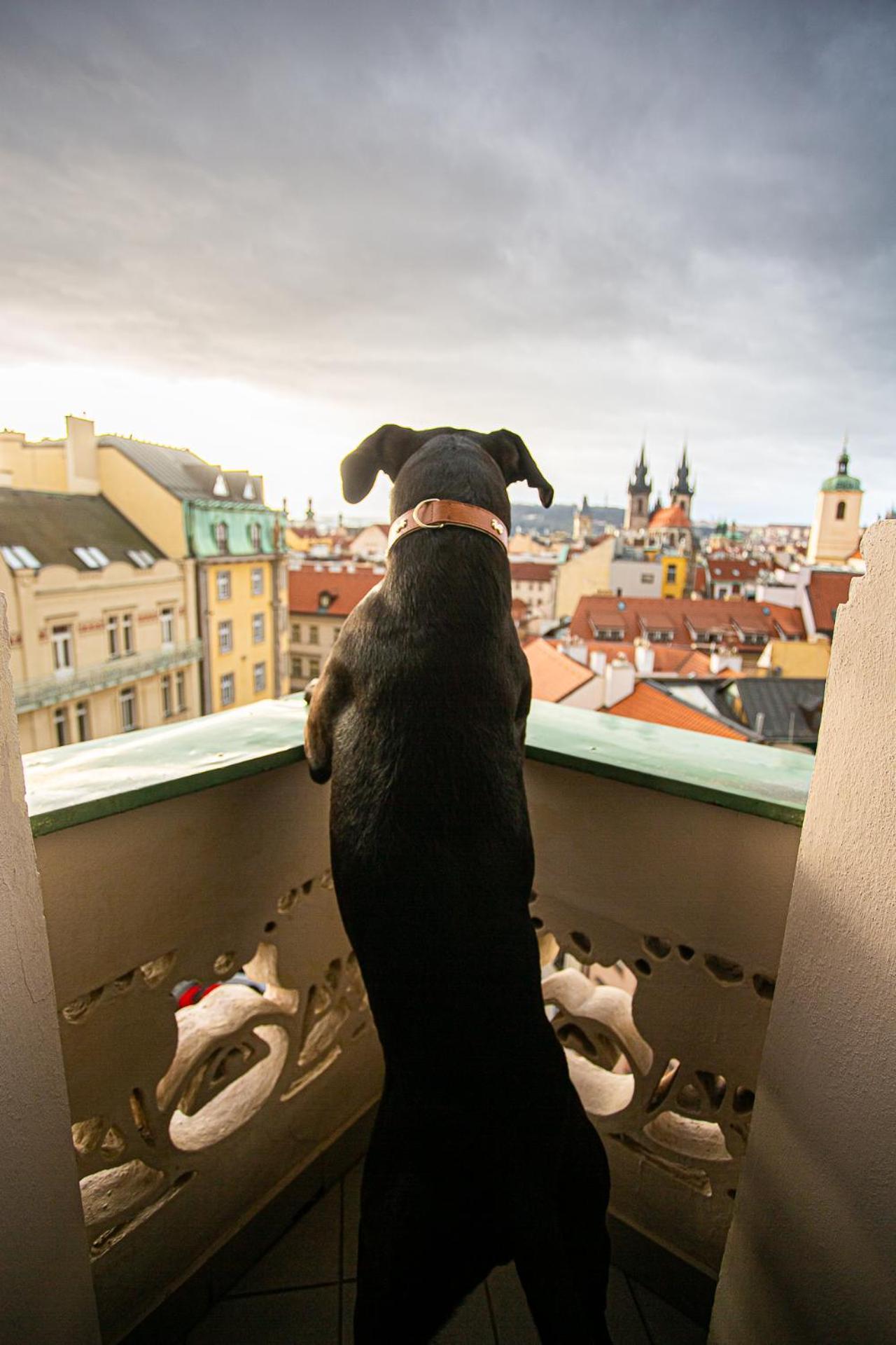 Hotel Paris Prague