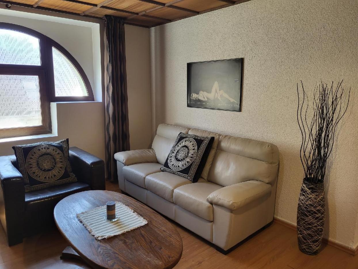 Sunflower And Apartamento Praga