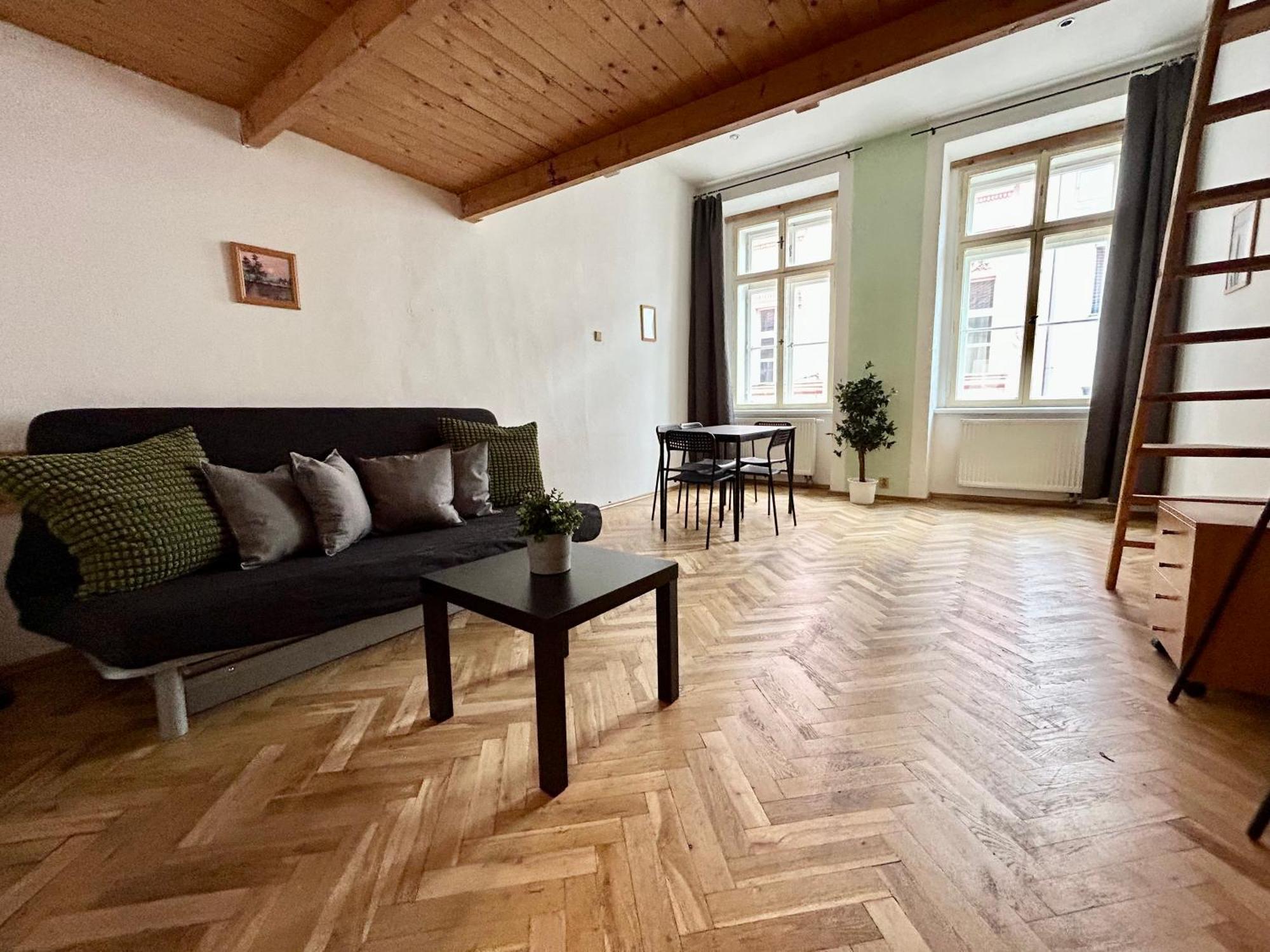 Apartment Party House - Ve Smeckach 18, Center!!