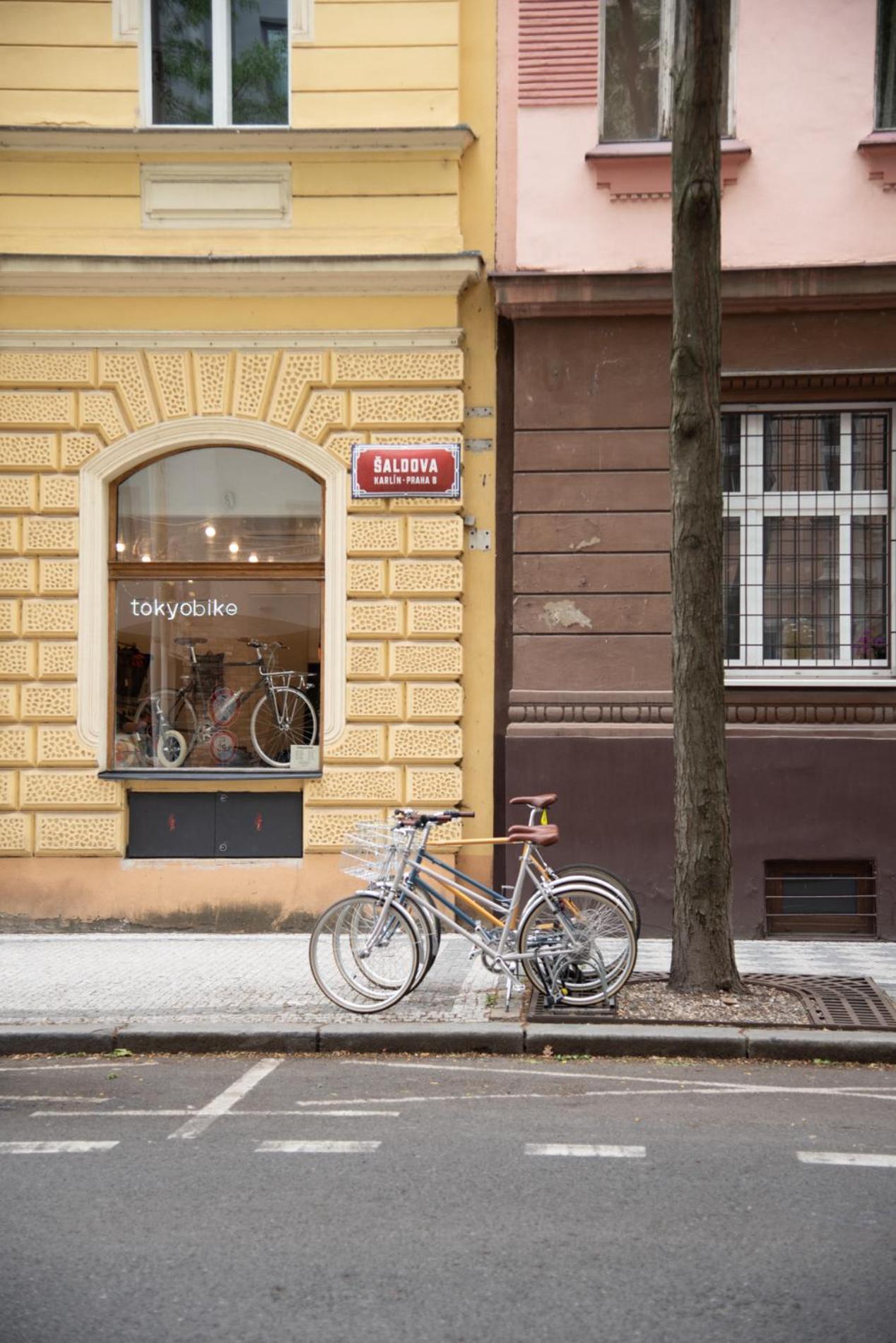Tereza Apartment