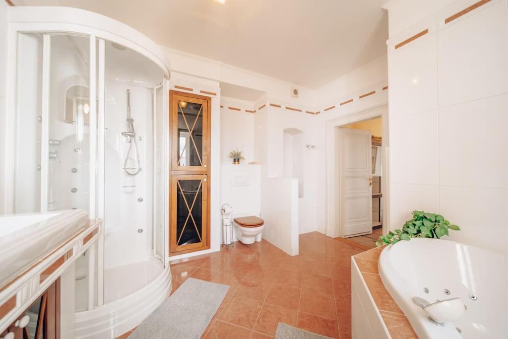 Magnificent Historical Penthouse In The Heart Of * Prague