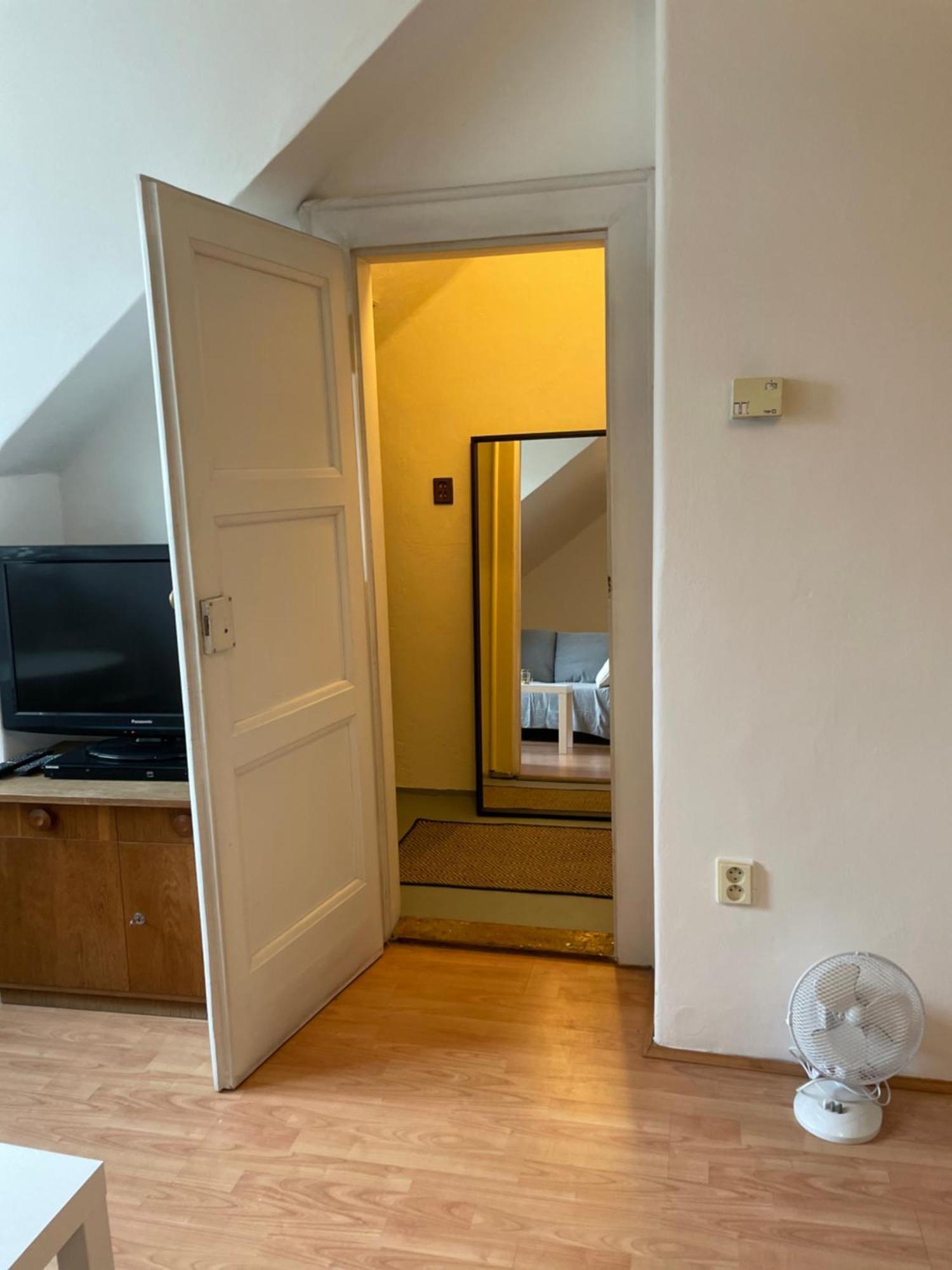 Apartment Podkrovni Byt 1kk