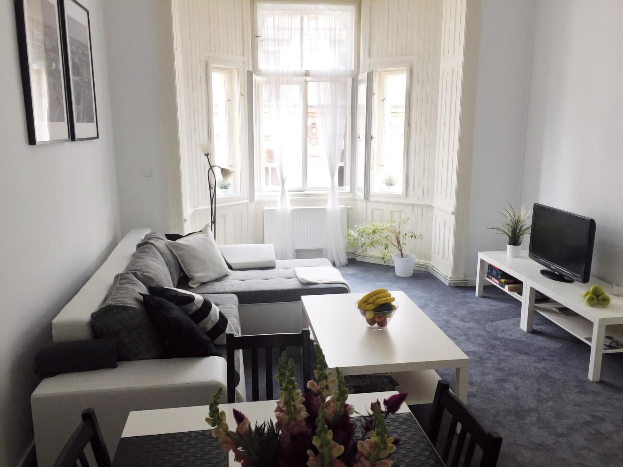 Apartment Vip Center *