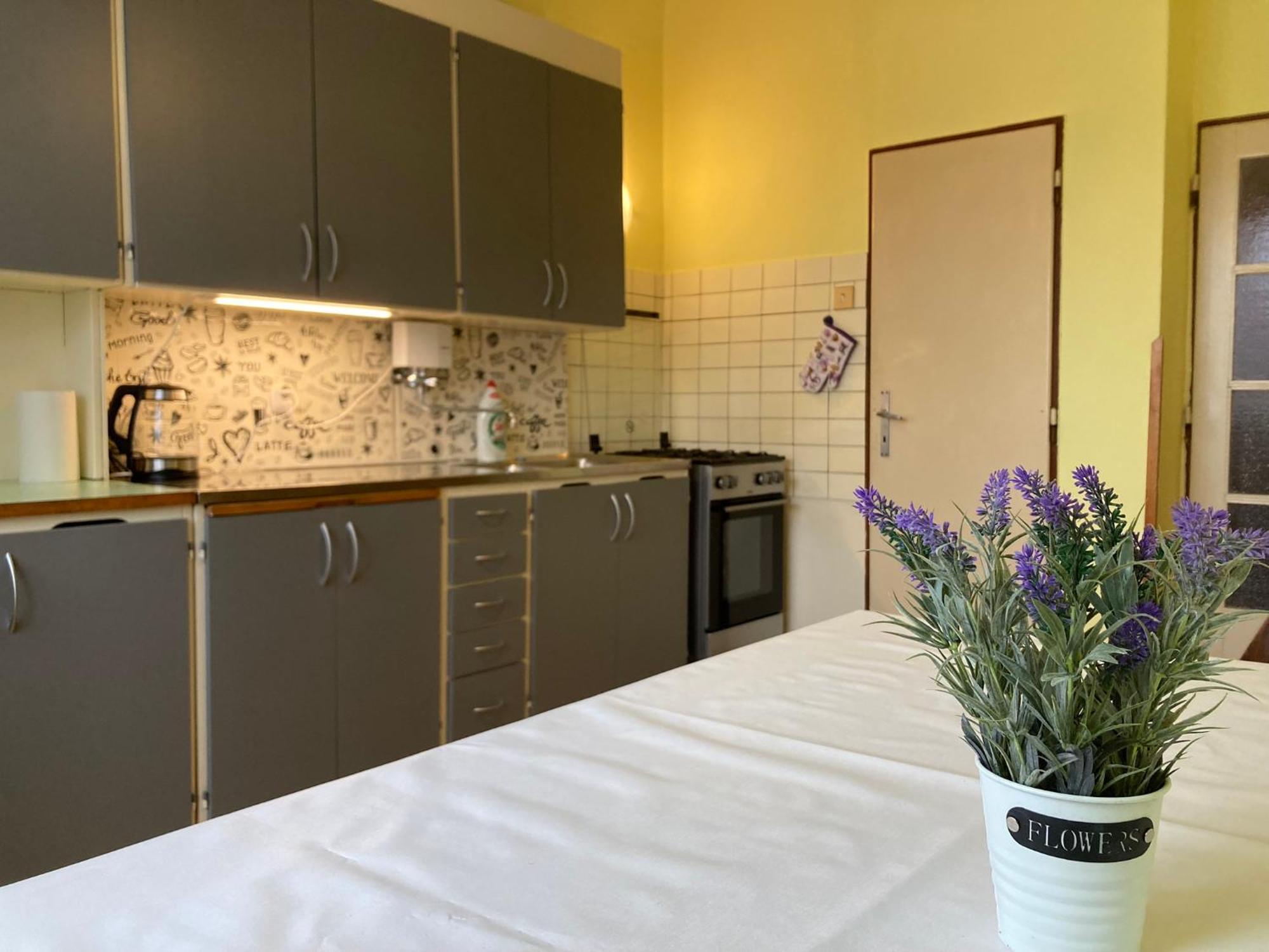 Apartment Spacious - Free Parking! Prague