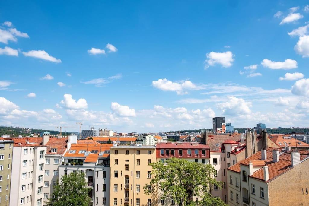 1 Bedroom With Terrace And View Appartement