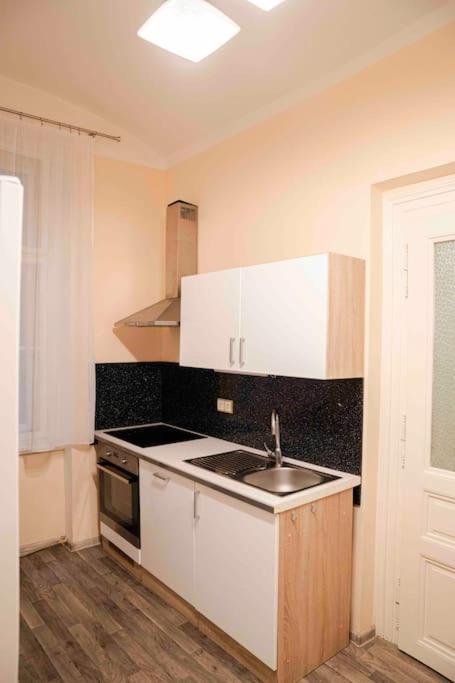 Cozy Flat By Wenceslas Square!