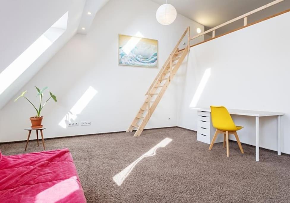 Beautiful Loft-apartment With A Large Terrace Apartment *