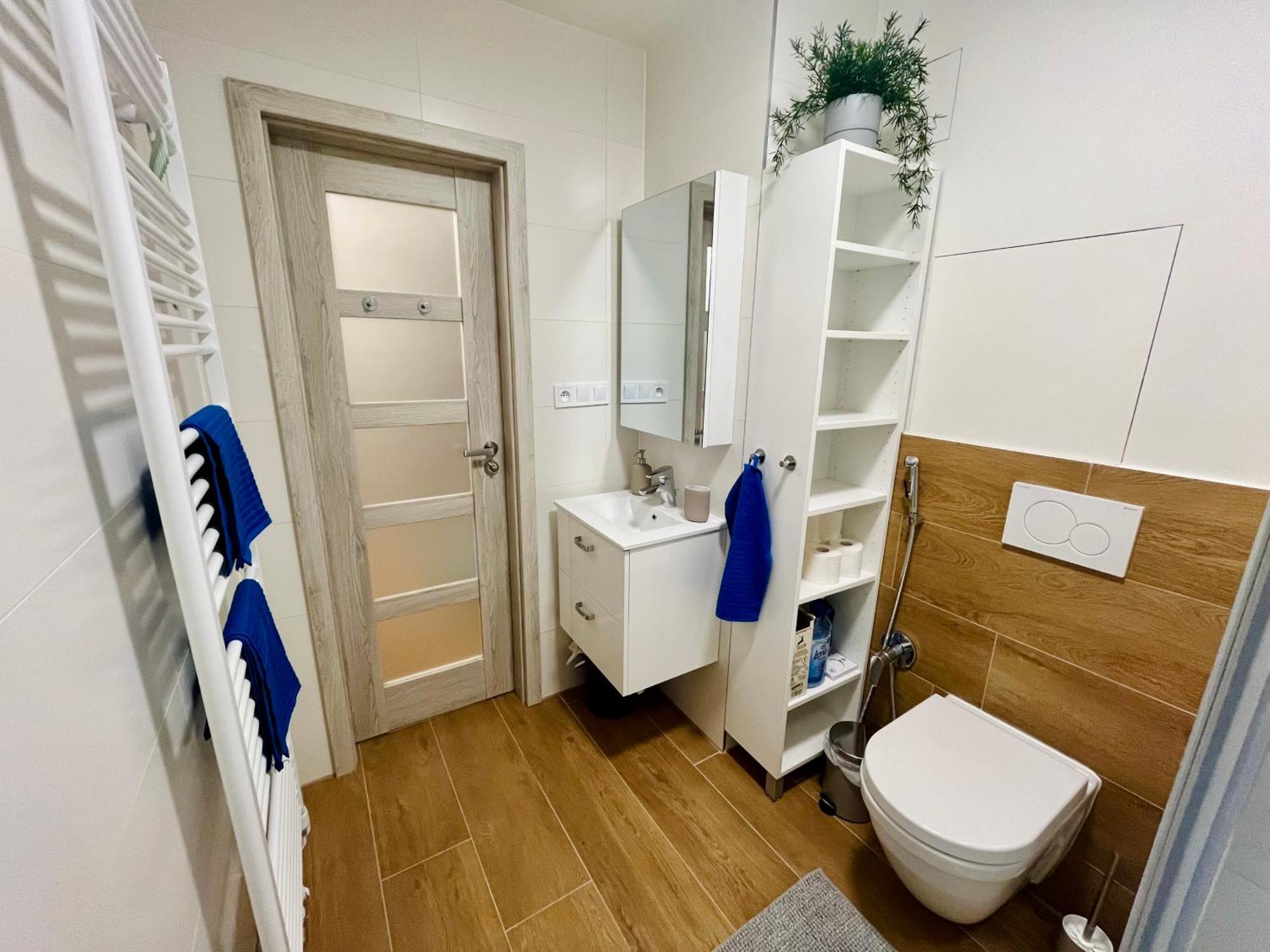 Pleasant Basement Apartment Prague