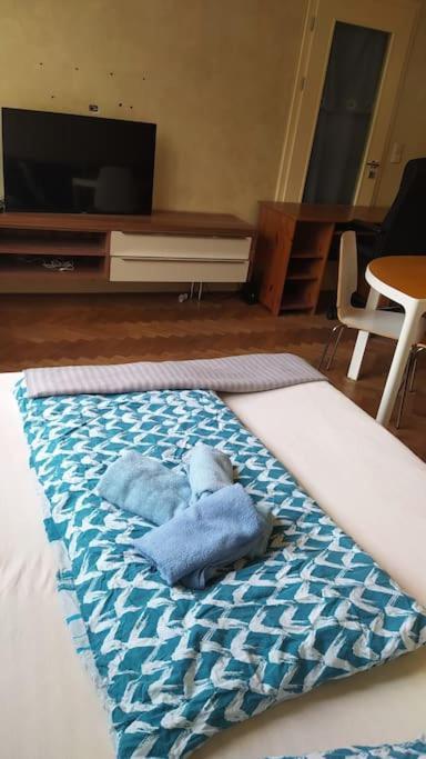 Apartment Spacious Modern 3 Bedroom Aparment *