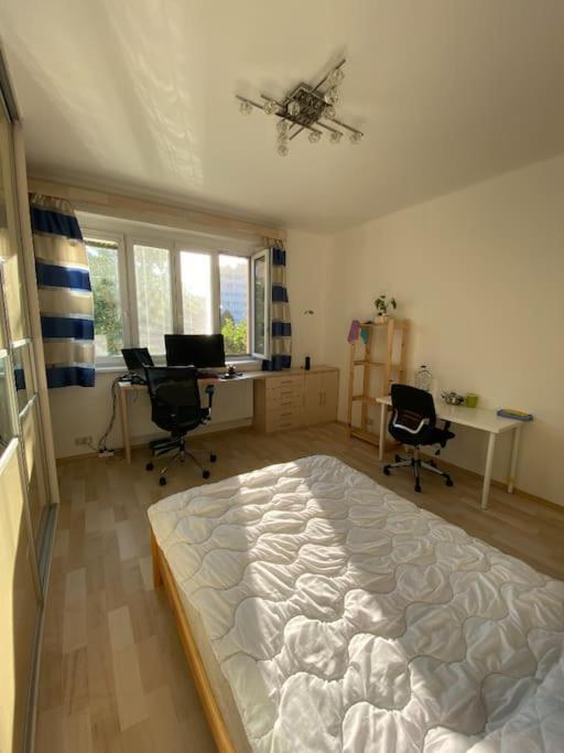 Apartment Spacious Modern 3 Bedroom Aparment *