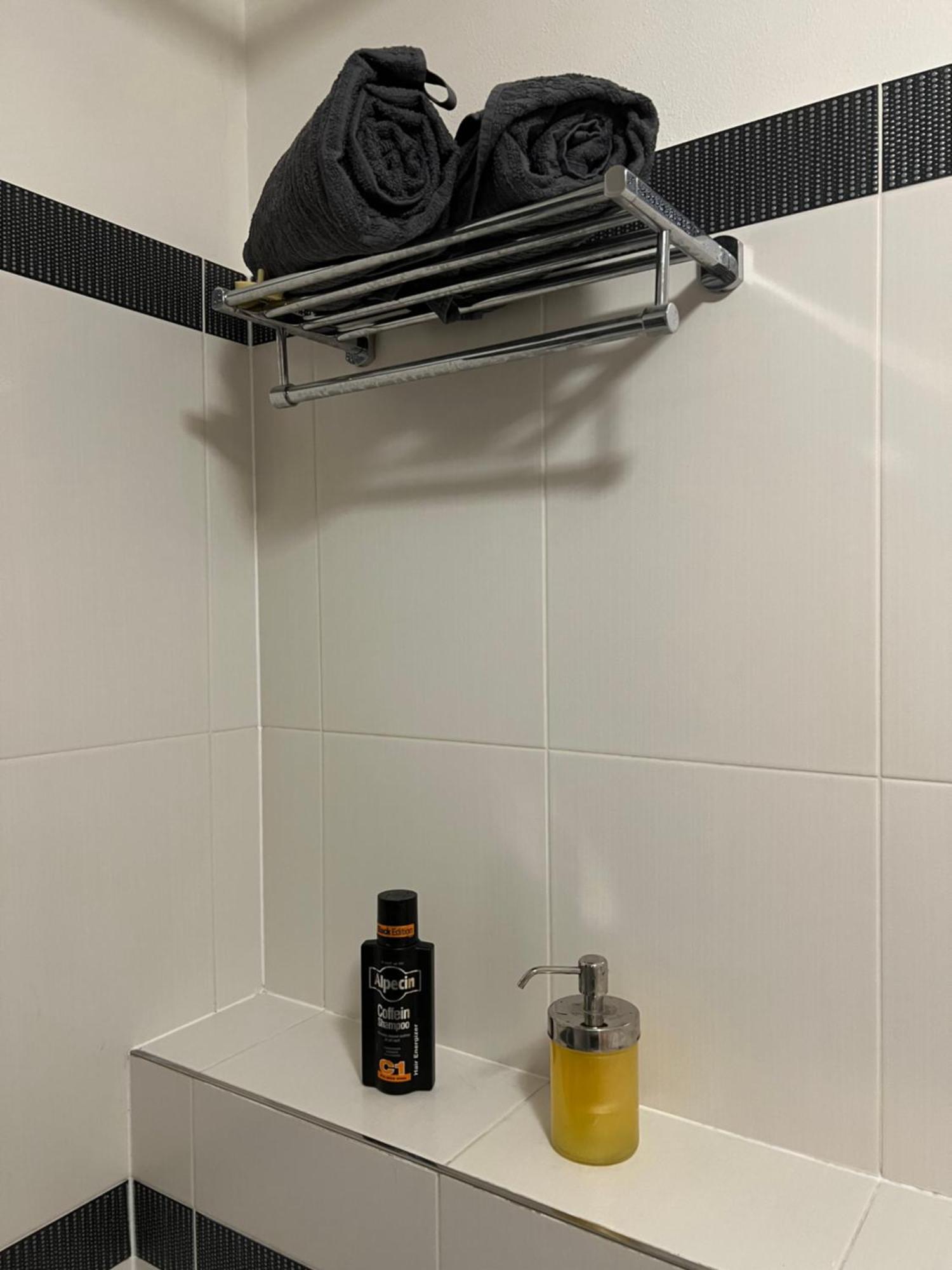 Terrace Aircondition Downtown Metro C Budejovicka Homestay Prague