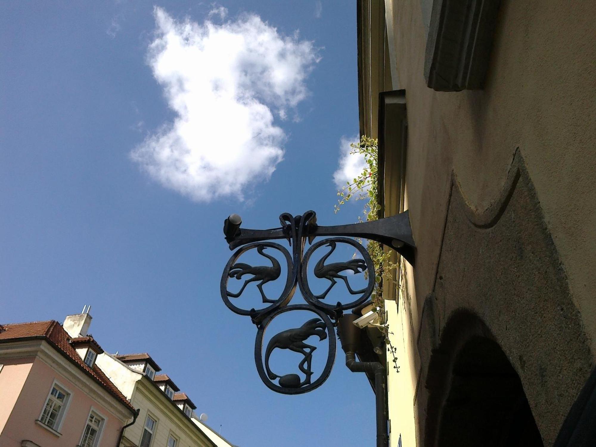 U 3 Pstrosu Prague