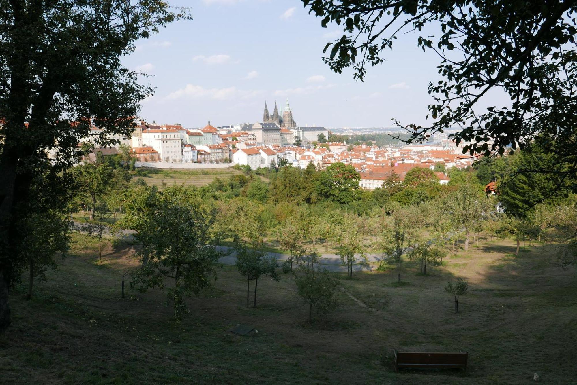 Grace By Castle Prague