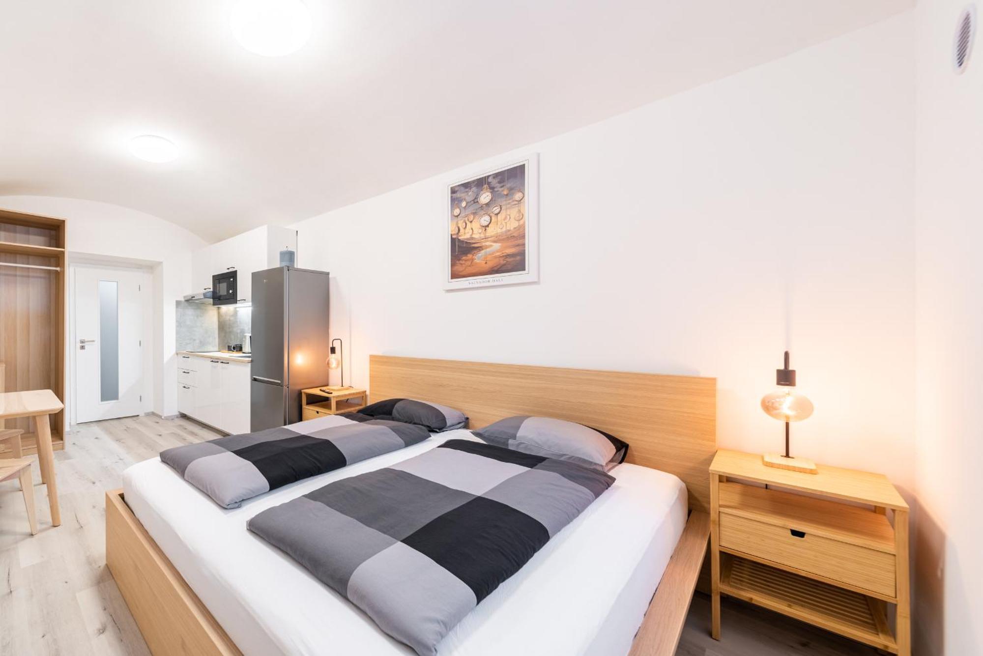 Apartment Borivojova 63 Prague