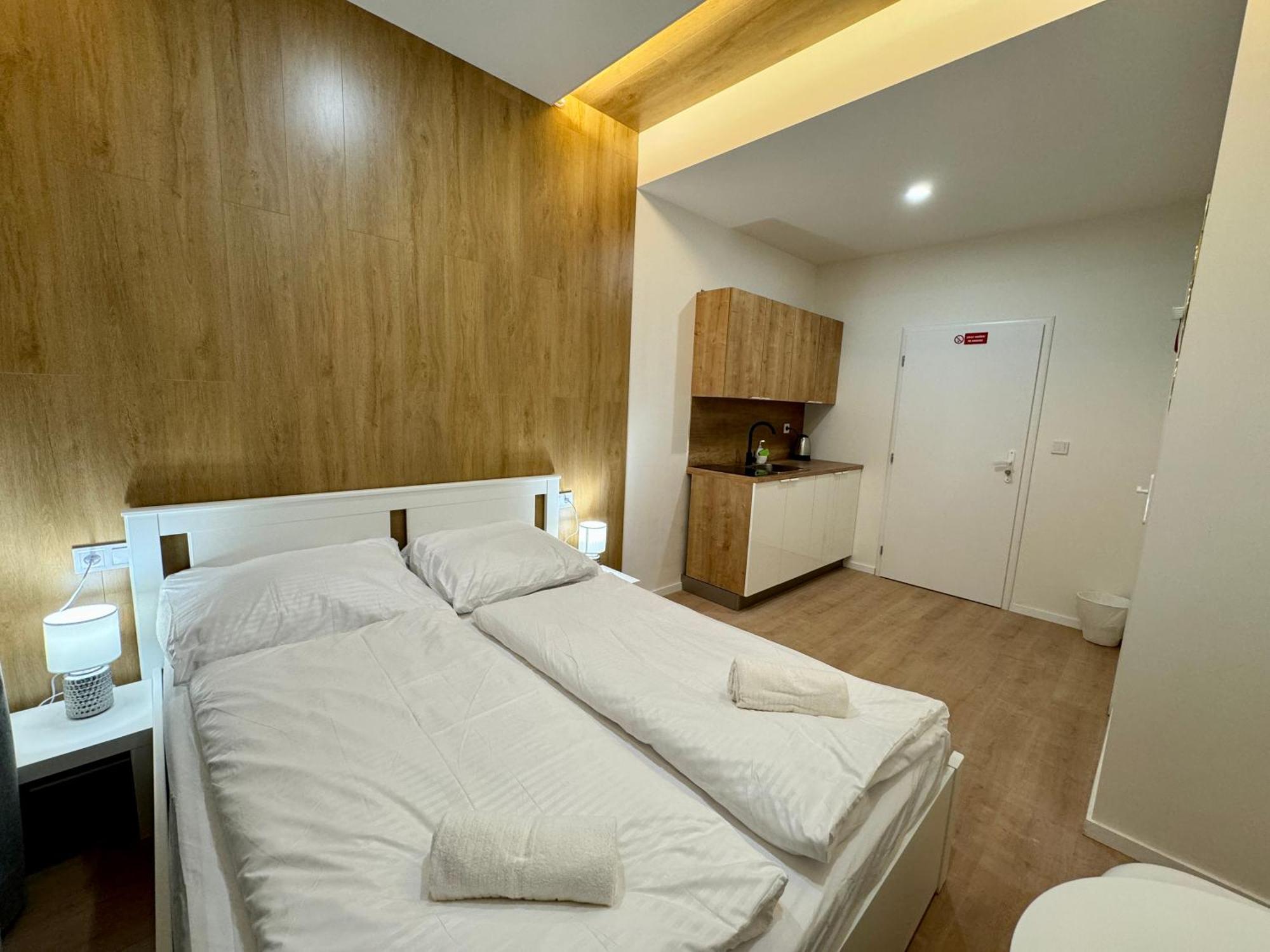 Apartment Zitna Downtown Prag