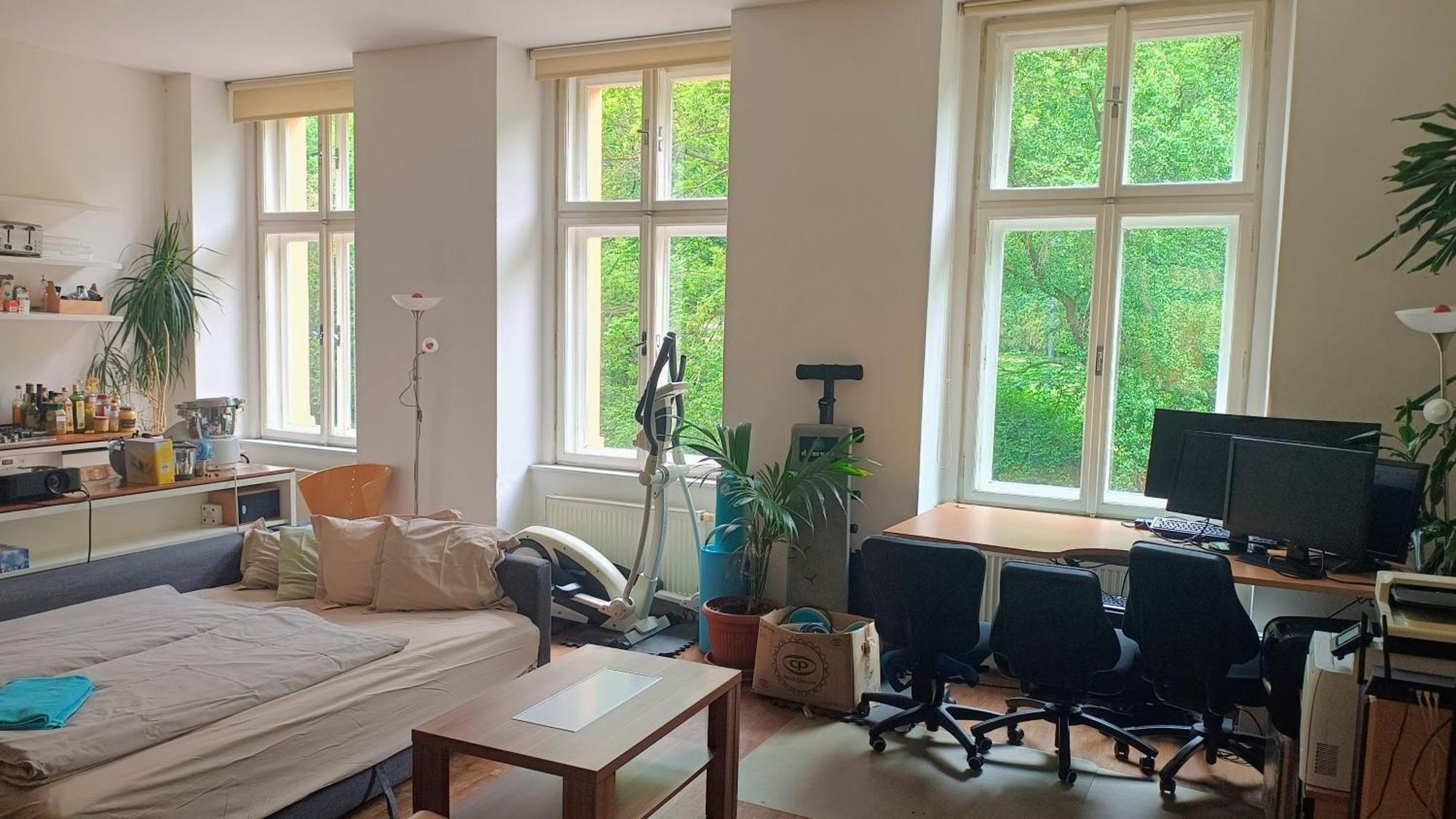 Apartment Park View - A Digital Nomad's Dream