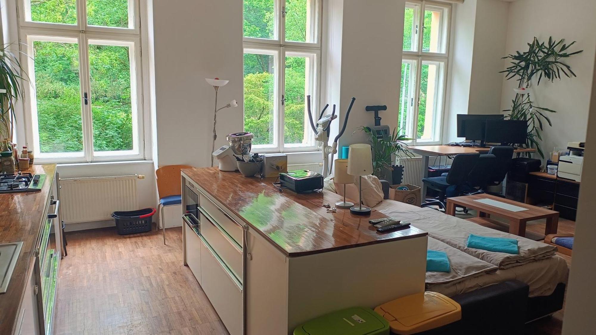 Apartment Park View - A Digital Nomad's Dream