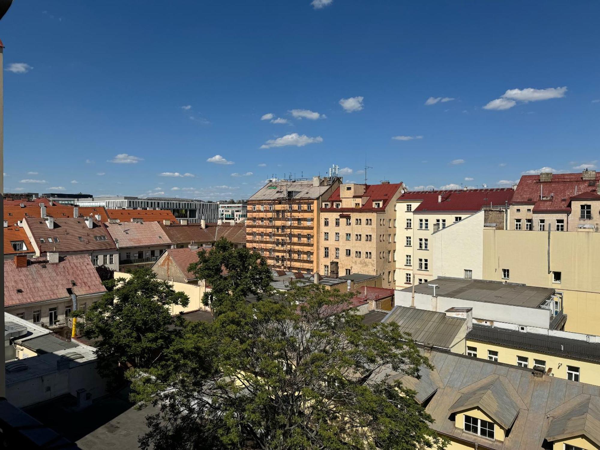 Vitkova Duplex With Terrace Near Florenc Appartement
