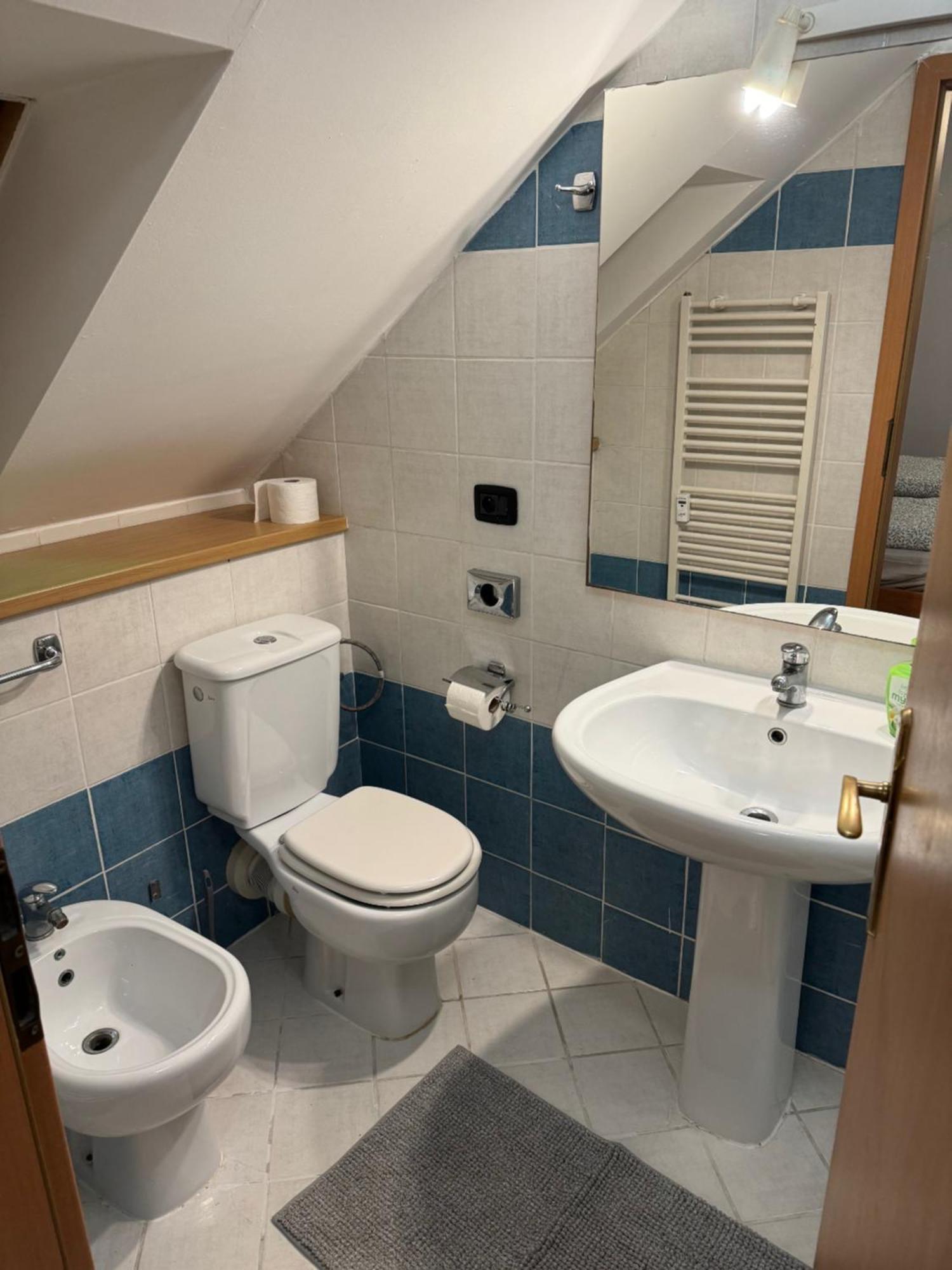 Vitkova Duplex With Terrace Near Florenc * Praga