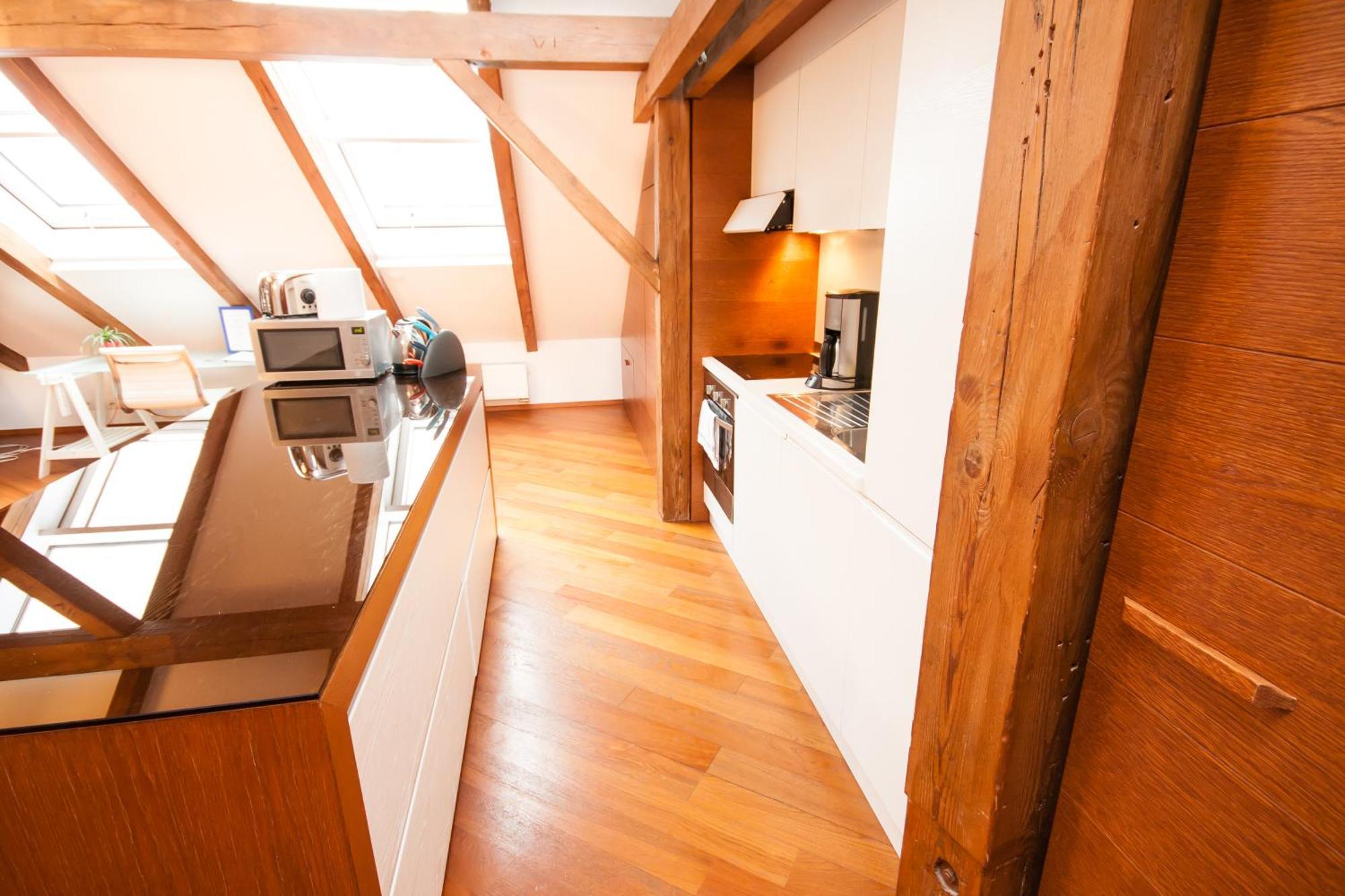Apartment Luxury Loft Prague