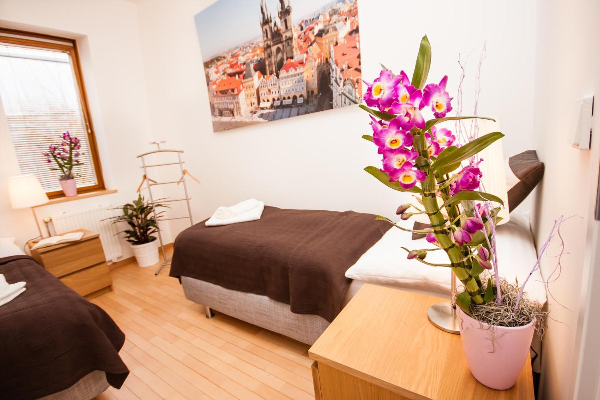 Wenceslas Square Lofts Apartment *