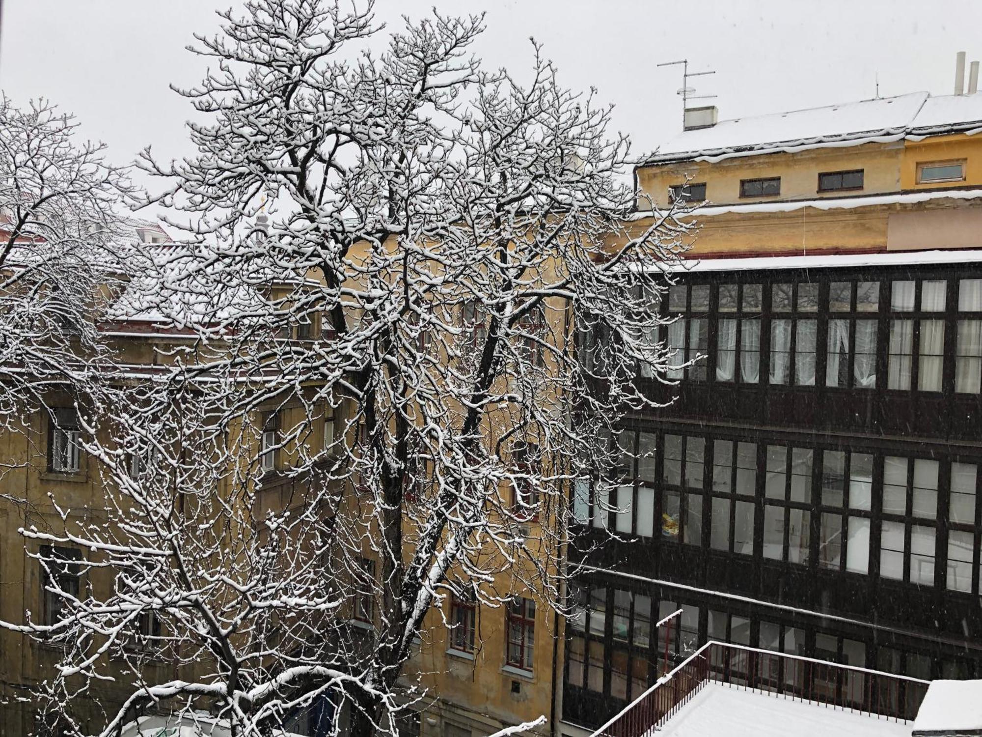 Travel&joy Backpackers Albergue Praga