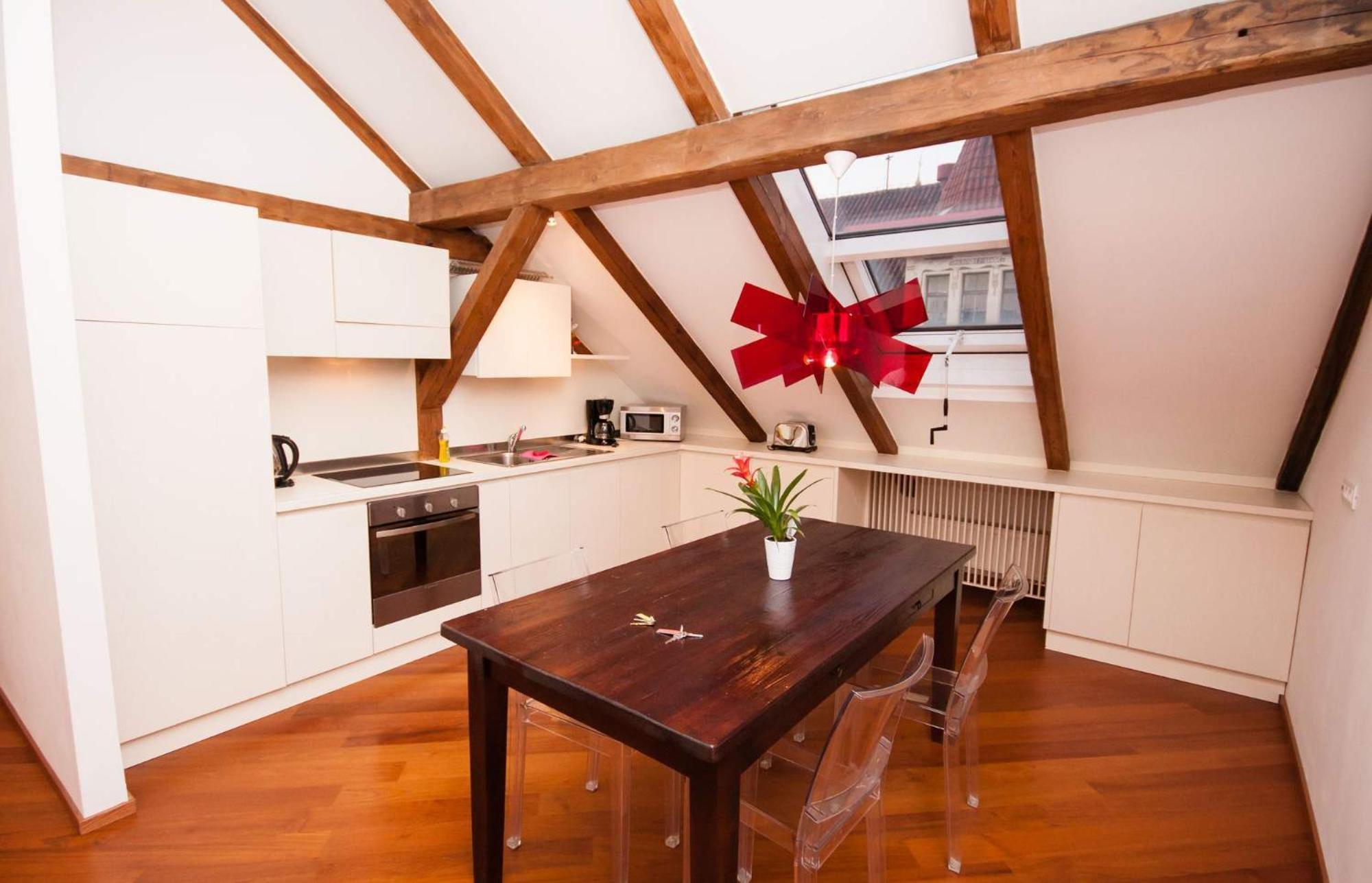 Apartment Luxury Loft Prague