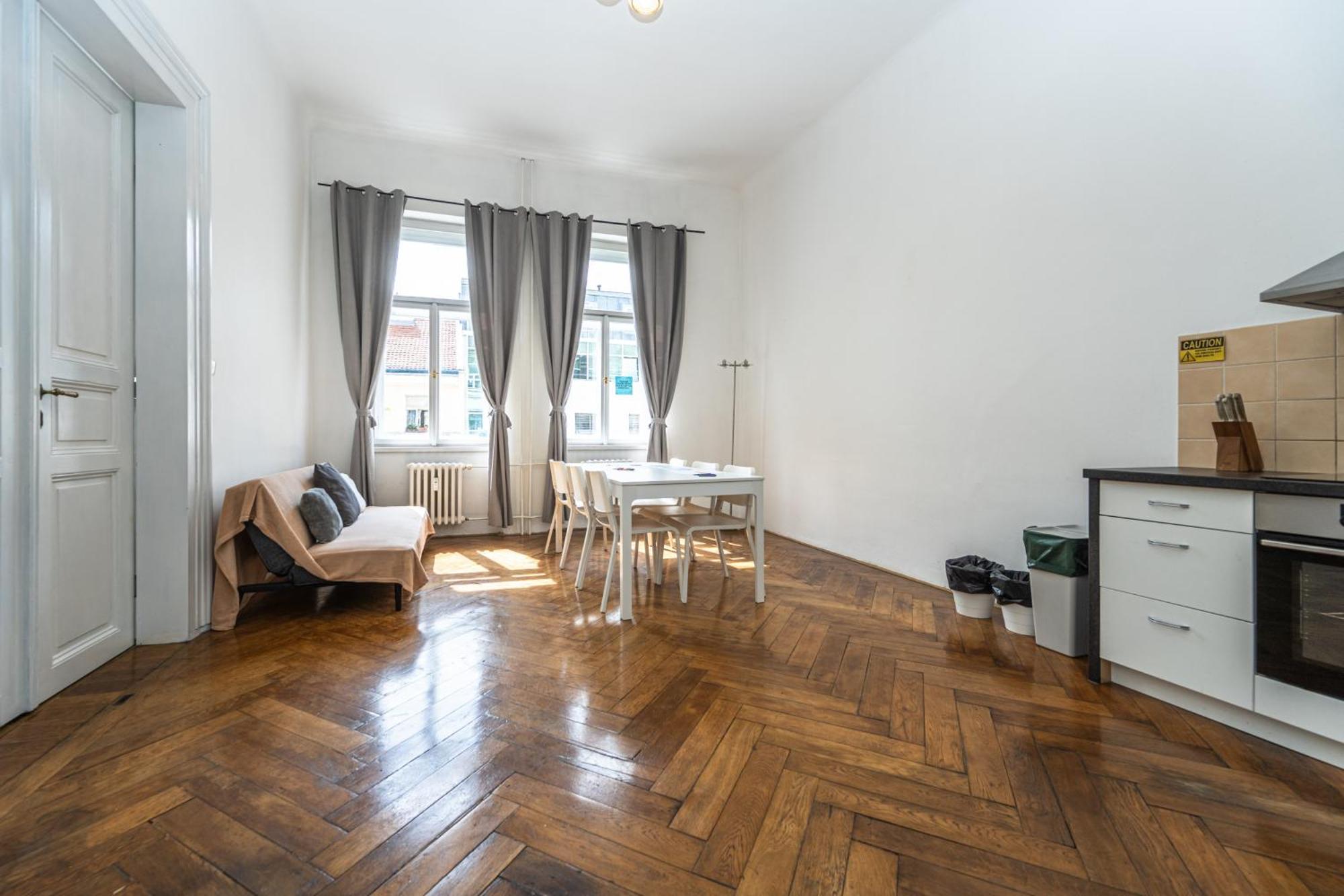 Apartment Safarikova 18 *