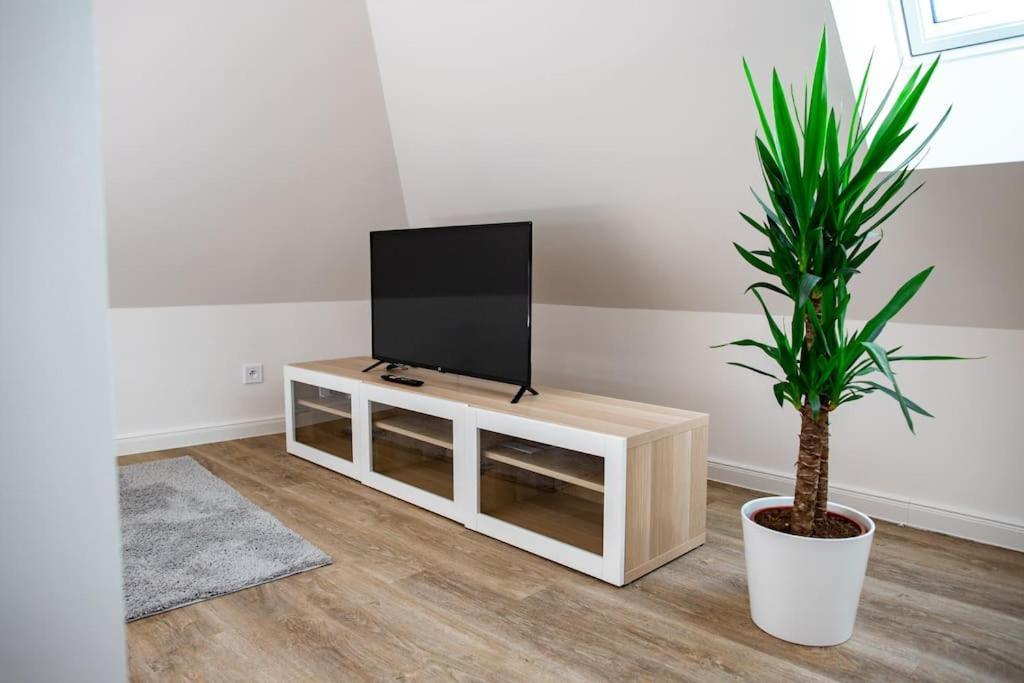 Bohemia 95m Daire